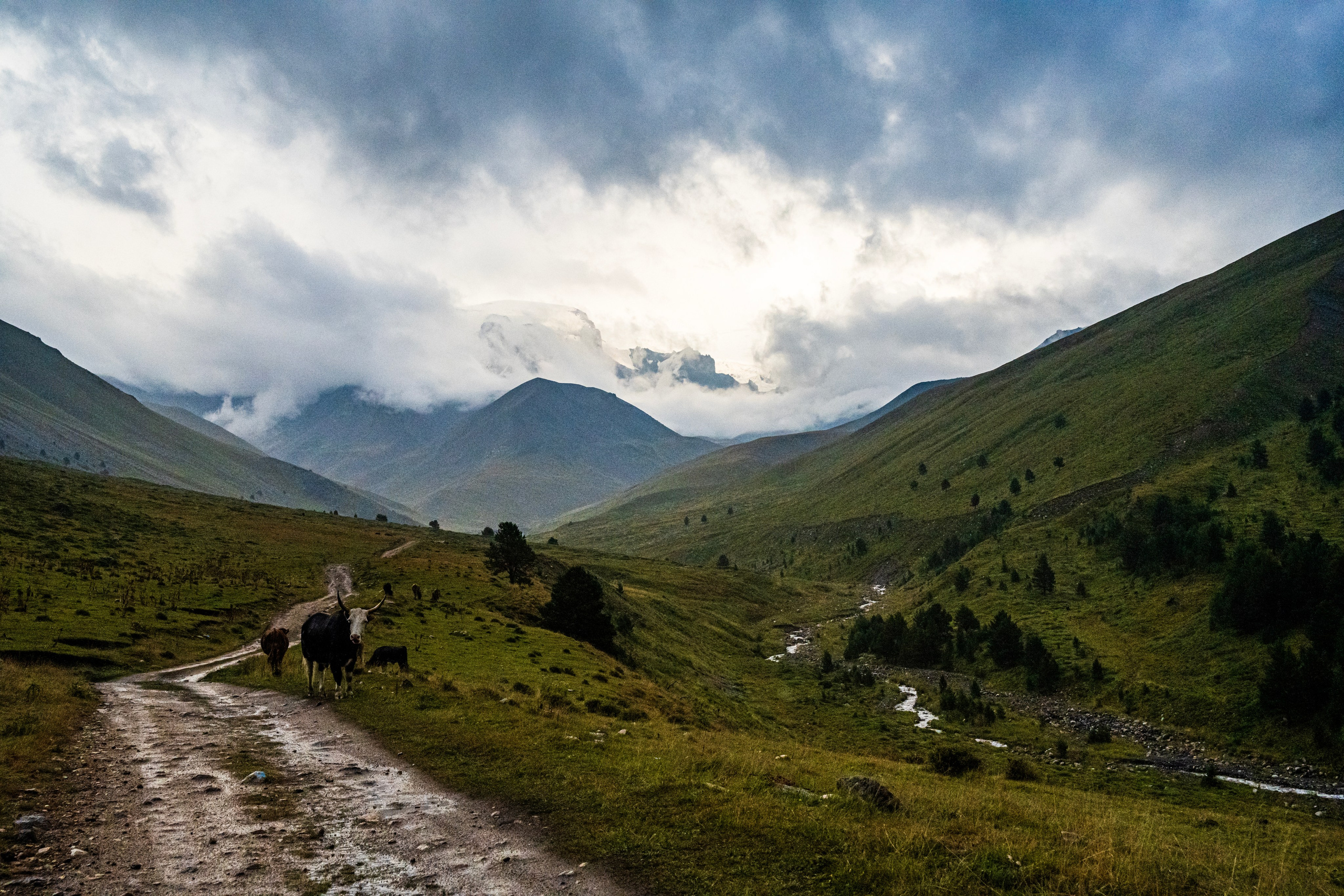 Экспедиция 2024