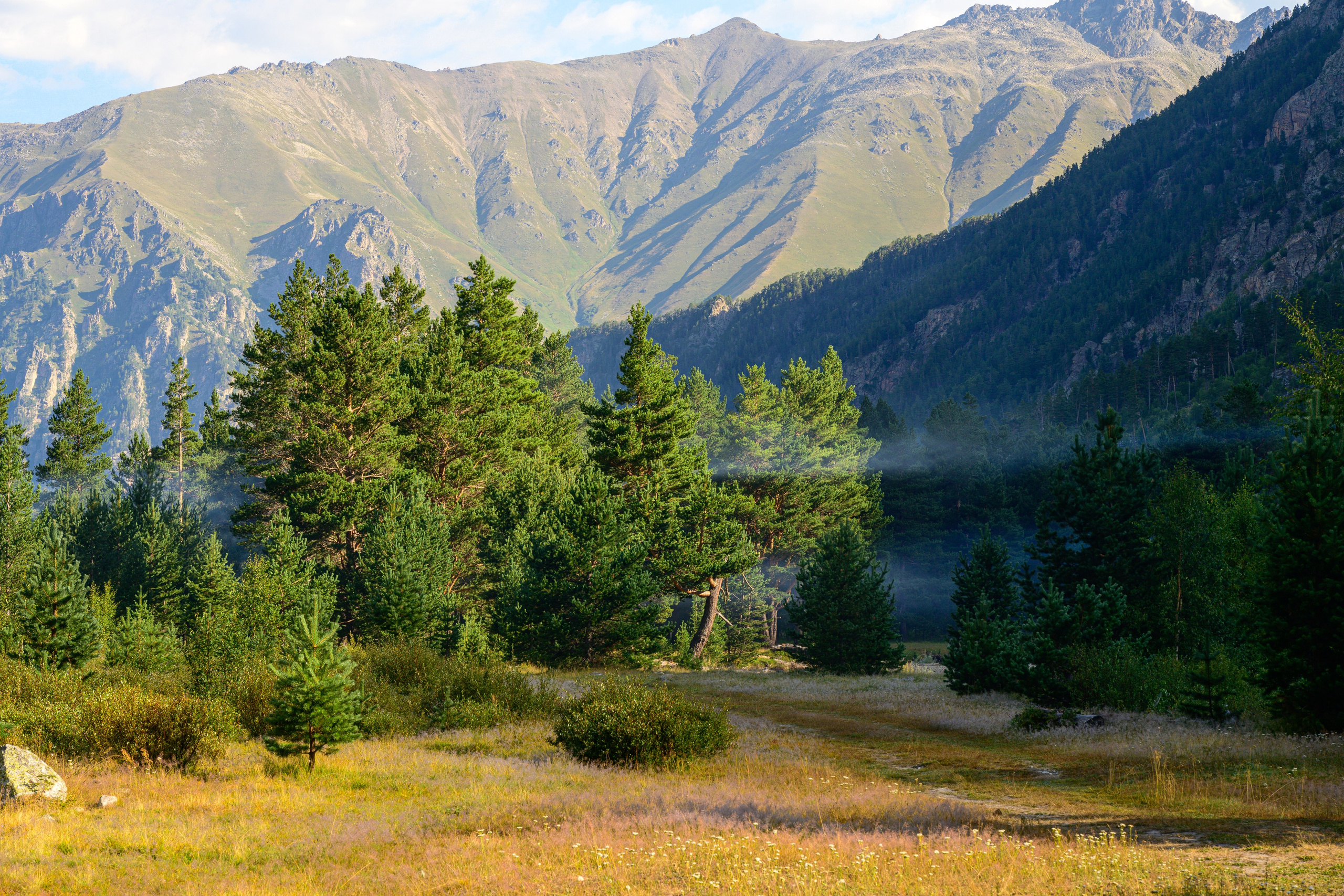 Экспедиция 2025