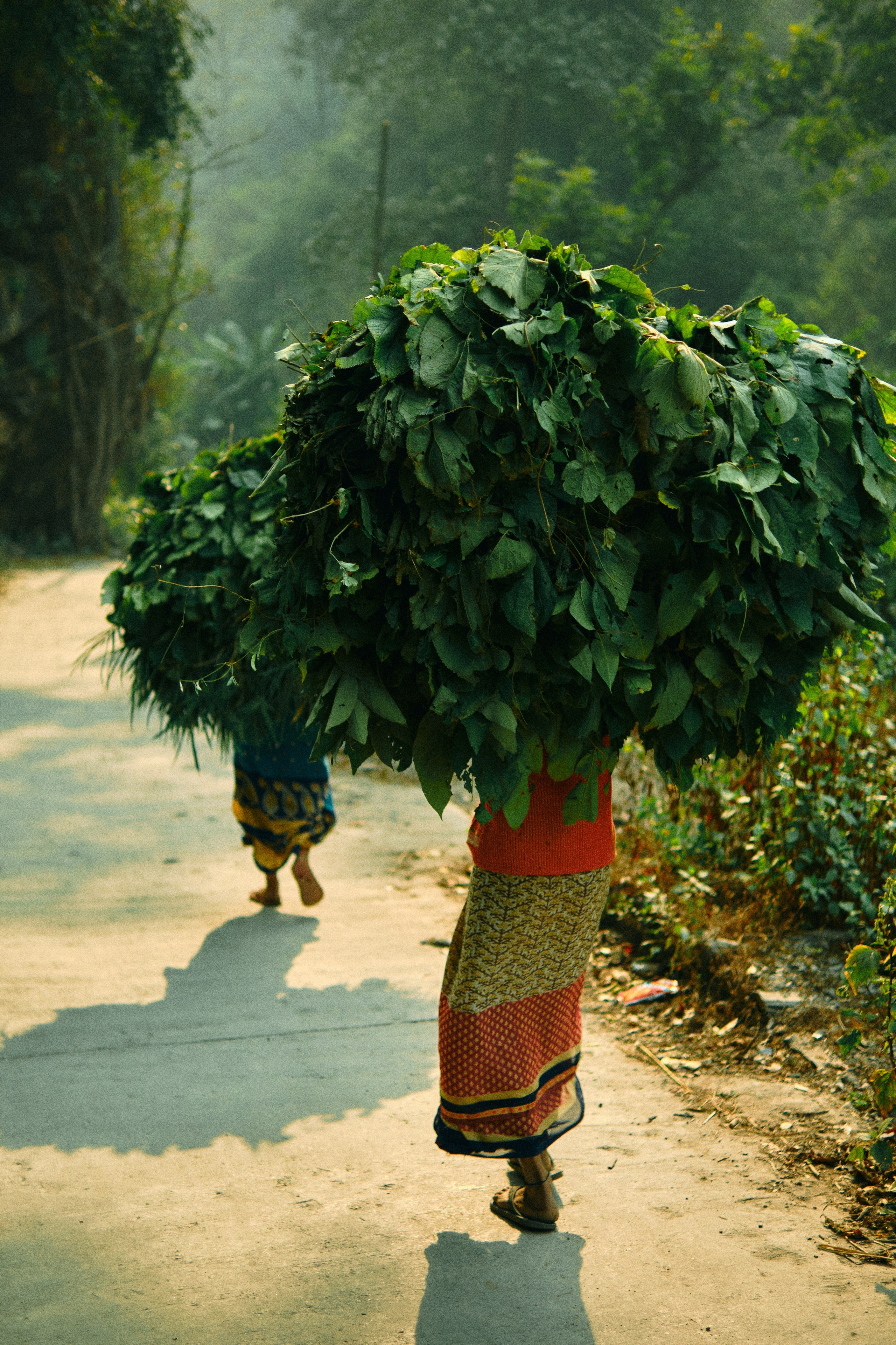 Курс «Увидимся на улице»