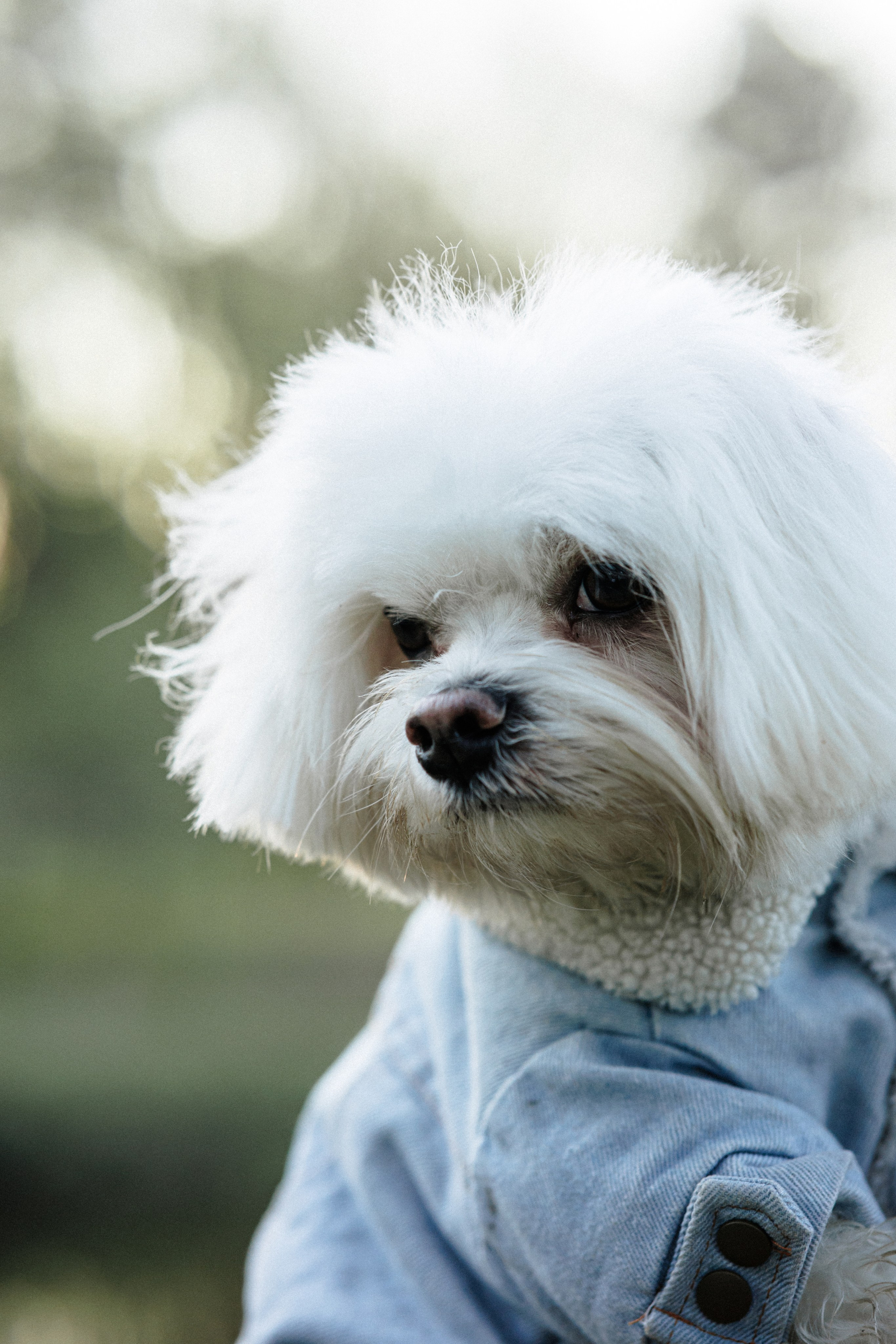 Алёна и Мирон. Фотограф в Санкт-Петербурге Алёна Губинская