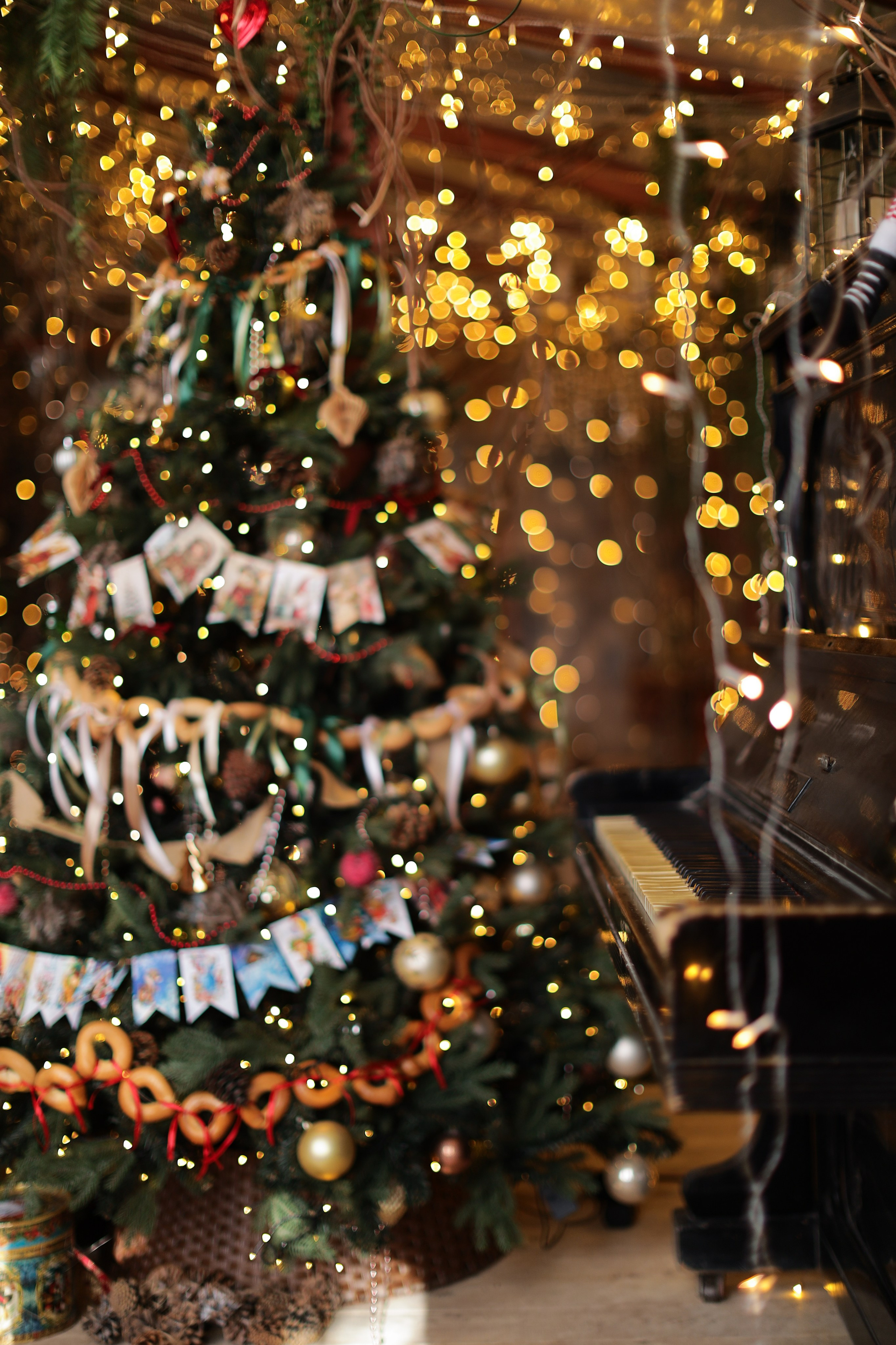 Фотостудия «Роял» зал Теплица. Свадебный фотограф в Ростове Александра Груздева