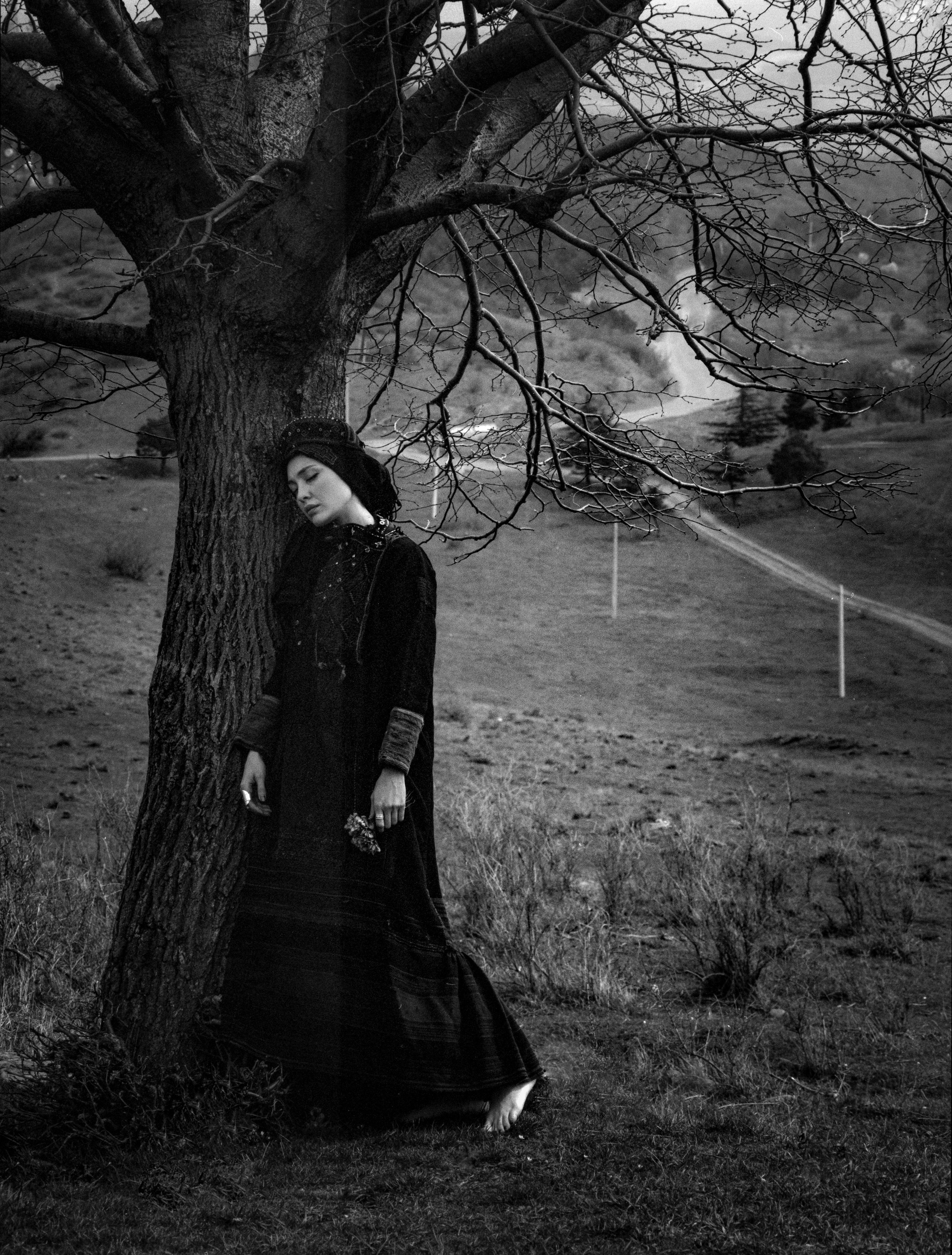 FILM. Director of photography