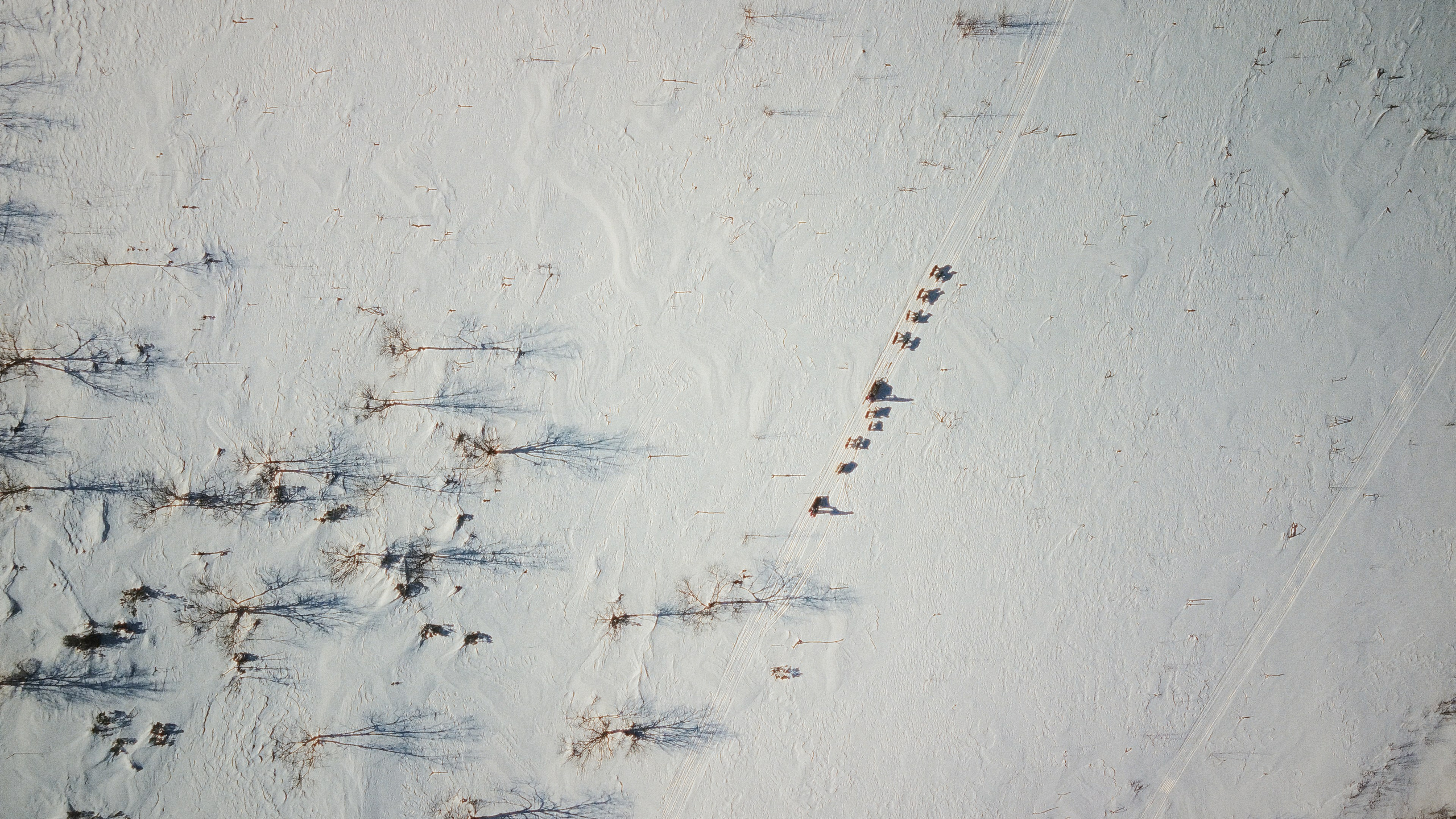 Экстрим. Максим Завгаров