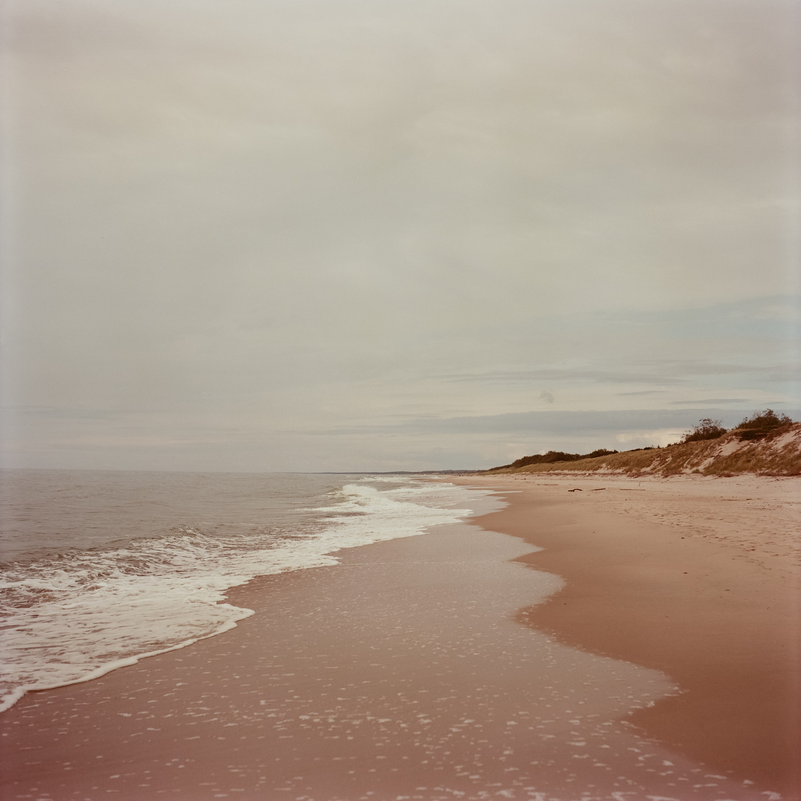 Куршская коса / Super Fujica-6 / Kodak Aeronega 100 (Kodak Aerocolor IV)