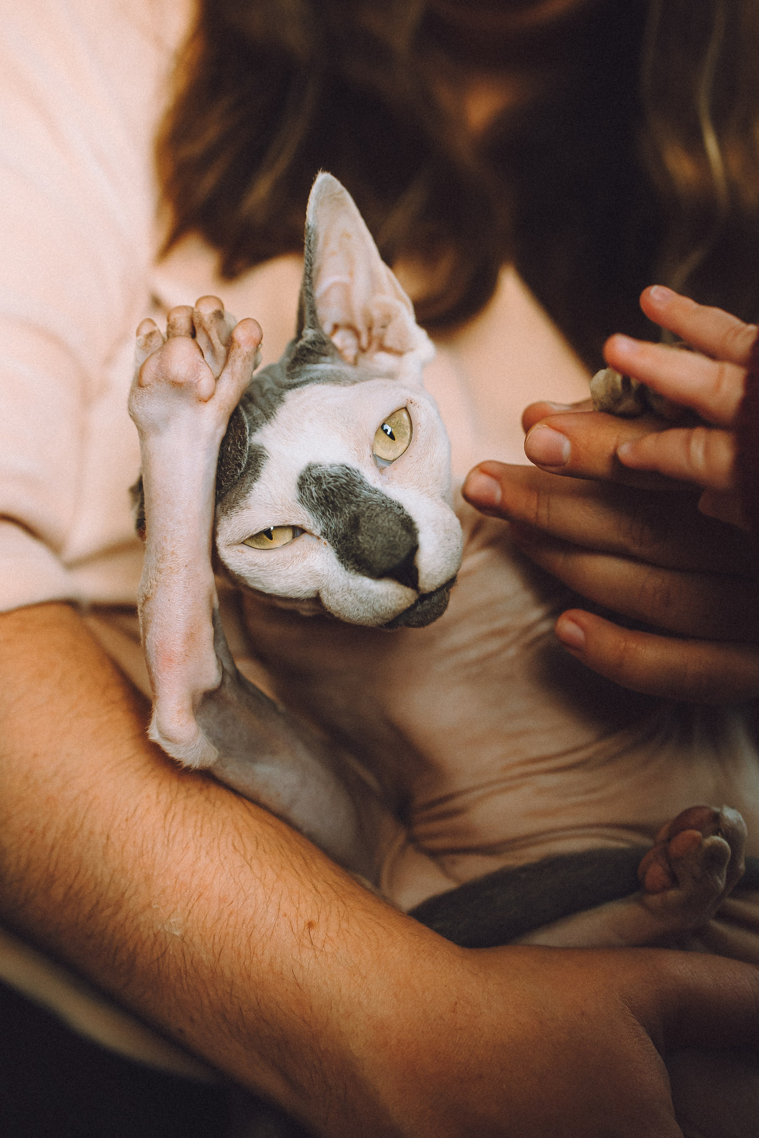 Топик и его семья