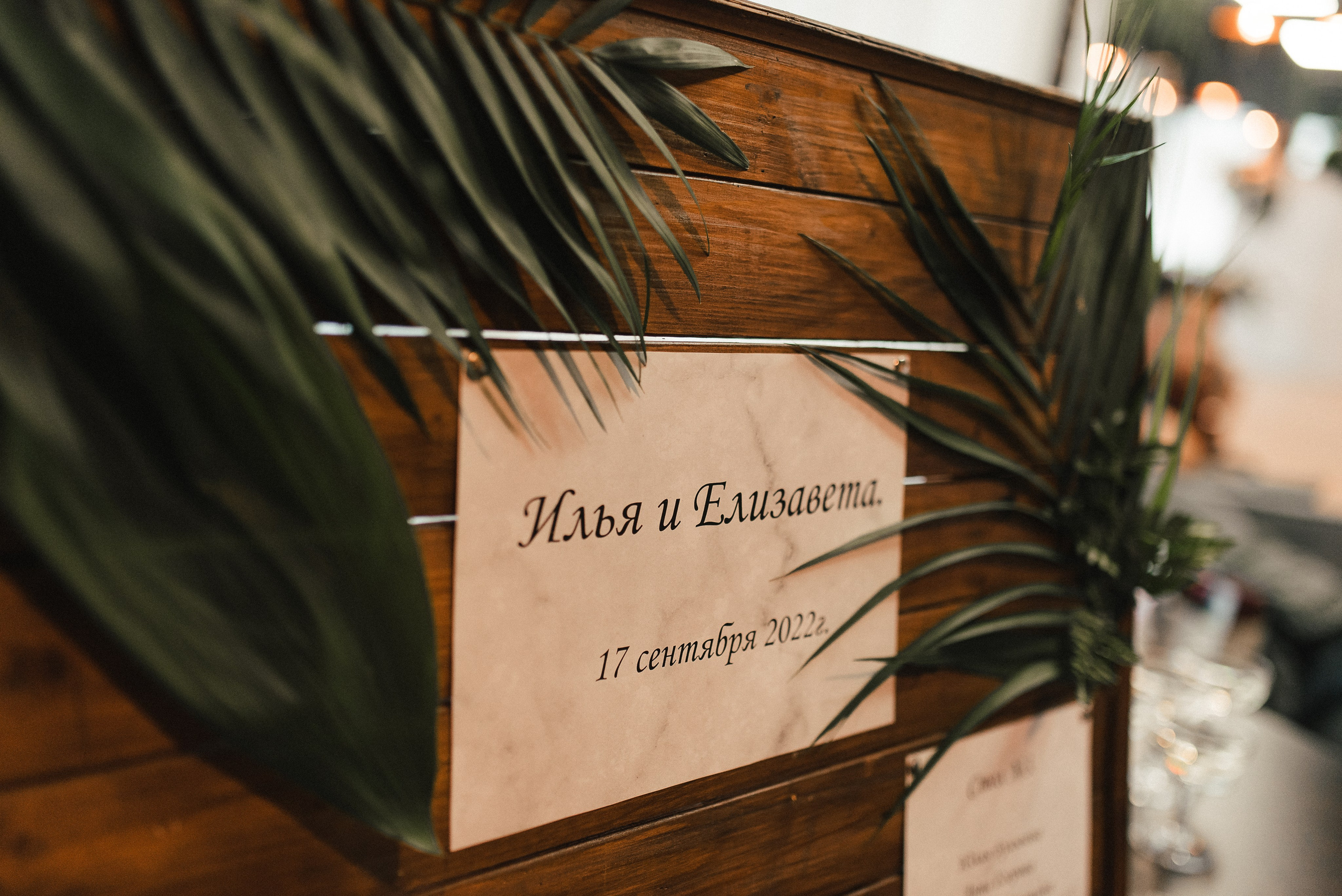 Зимний сад. Фотограф Гилярова Злата Белгород