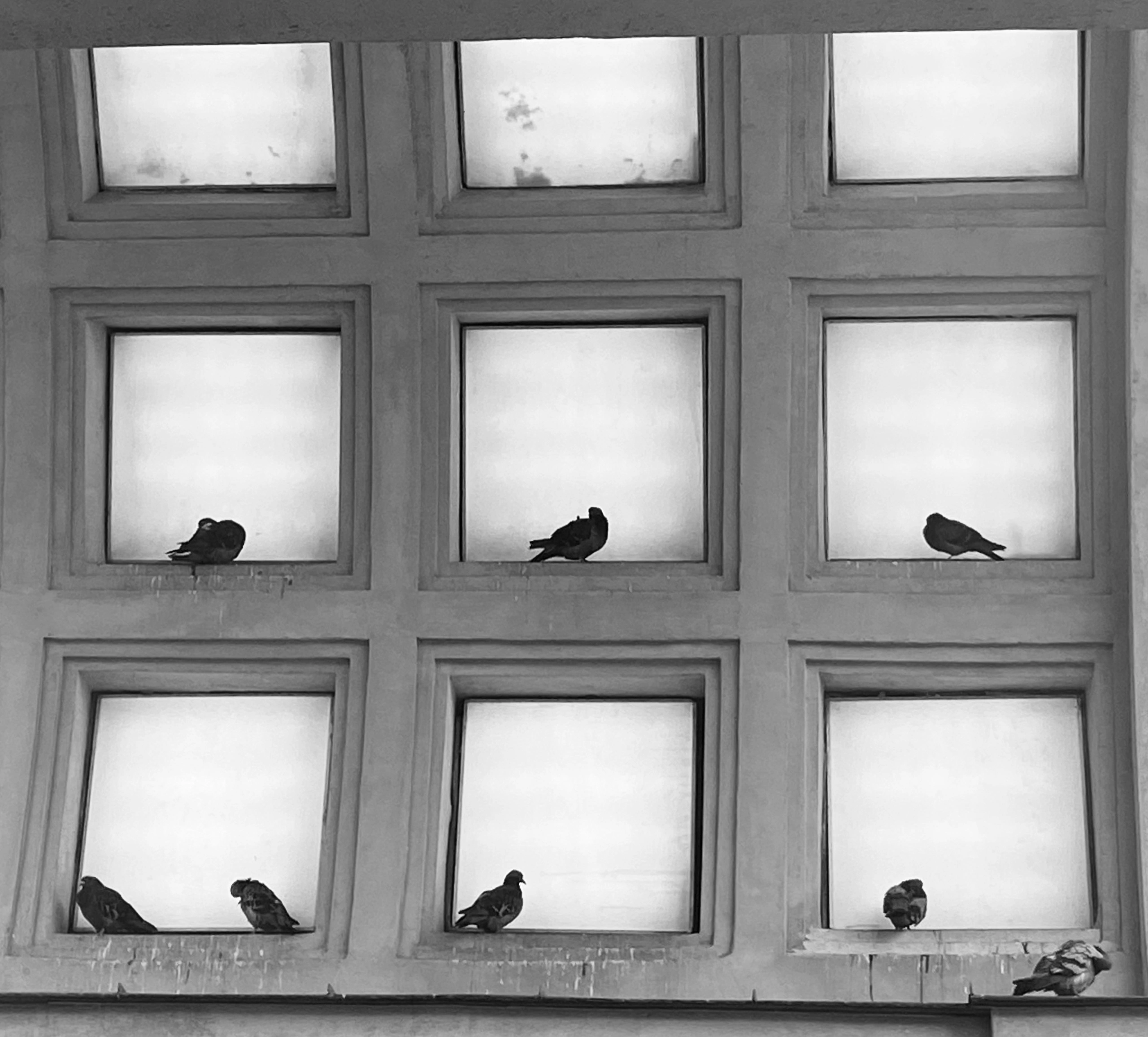 Город. Фотограф Маргана Лоция