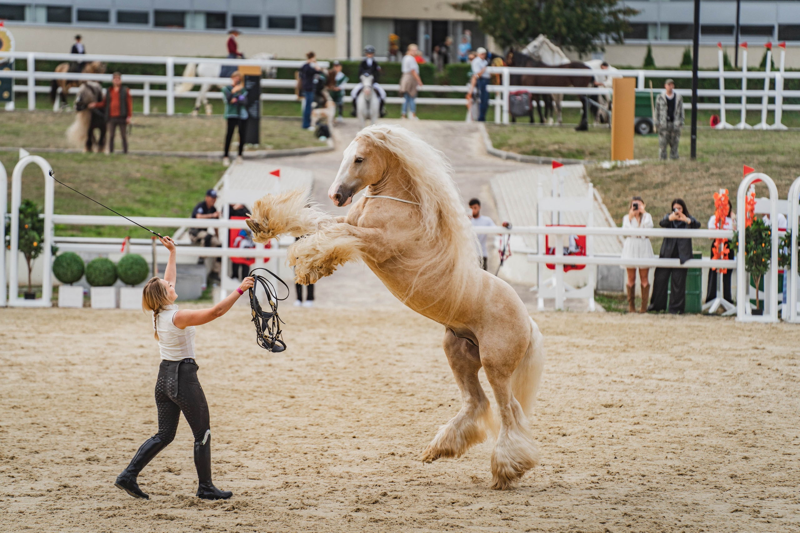 Конные фестивали и мероприятия. Фотограф в Москве Ленарская Дарья