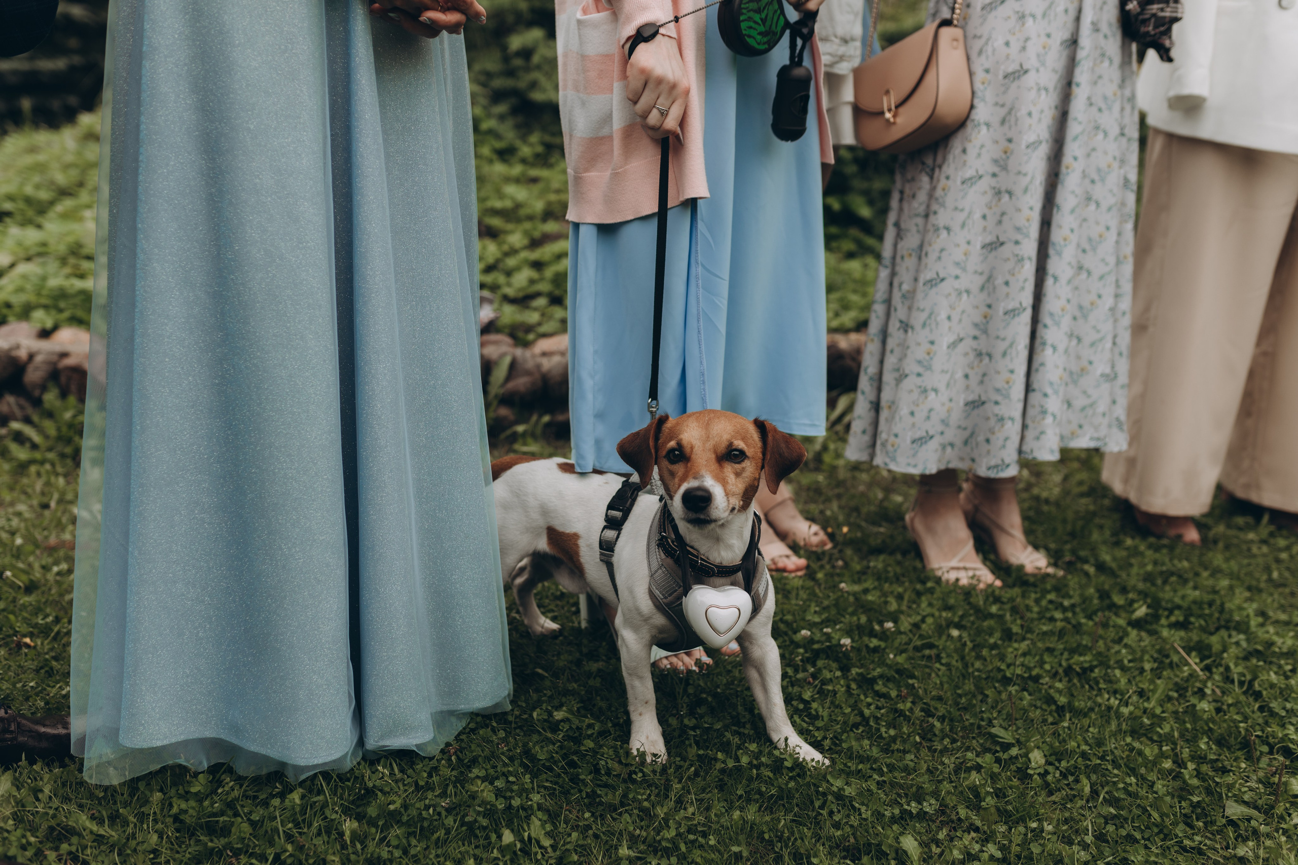 Анастасия и Сергей. Фотограф Ксюша Белоносова