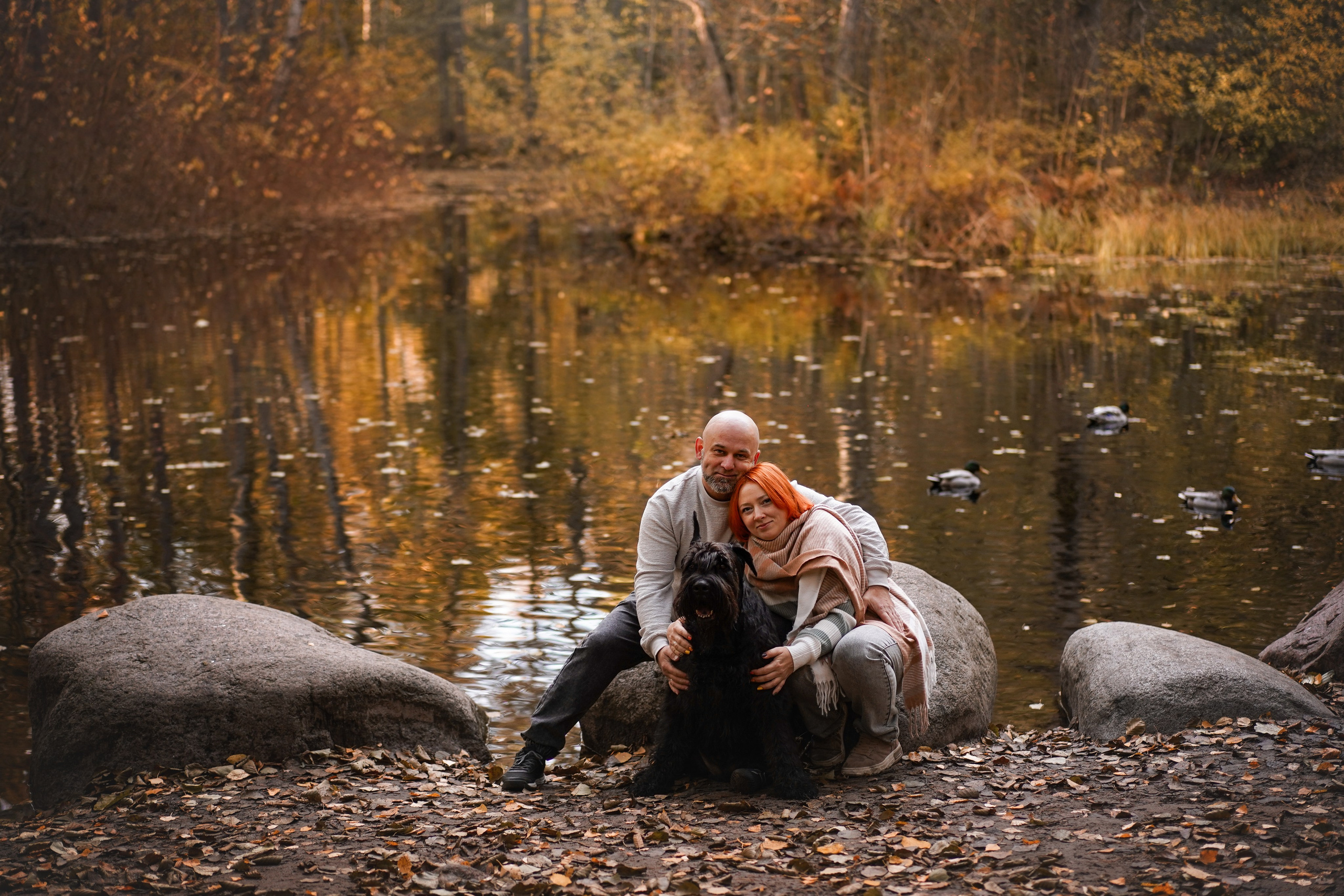 Оля Миша и шнауцеры. Фотограф-анималист в Санкт-Петербурге Яна Мартынова