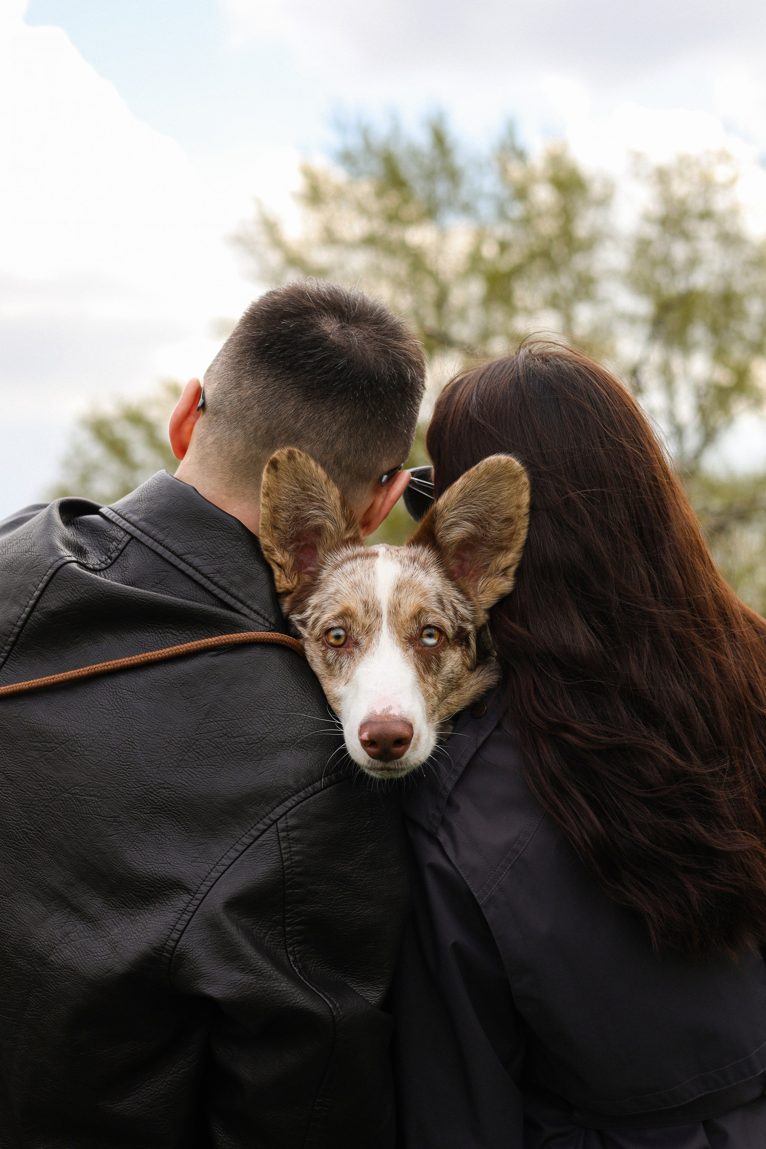 Анджей, Софья и Андрей. Фотограф-анималист Ксения Шевцова|Москва
