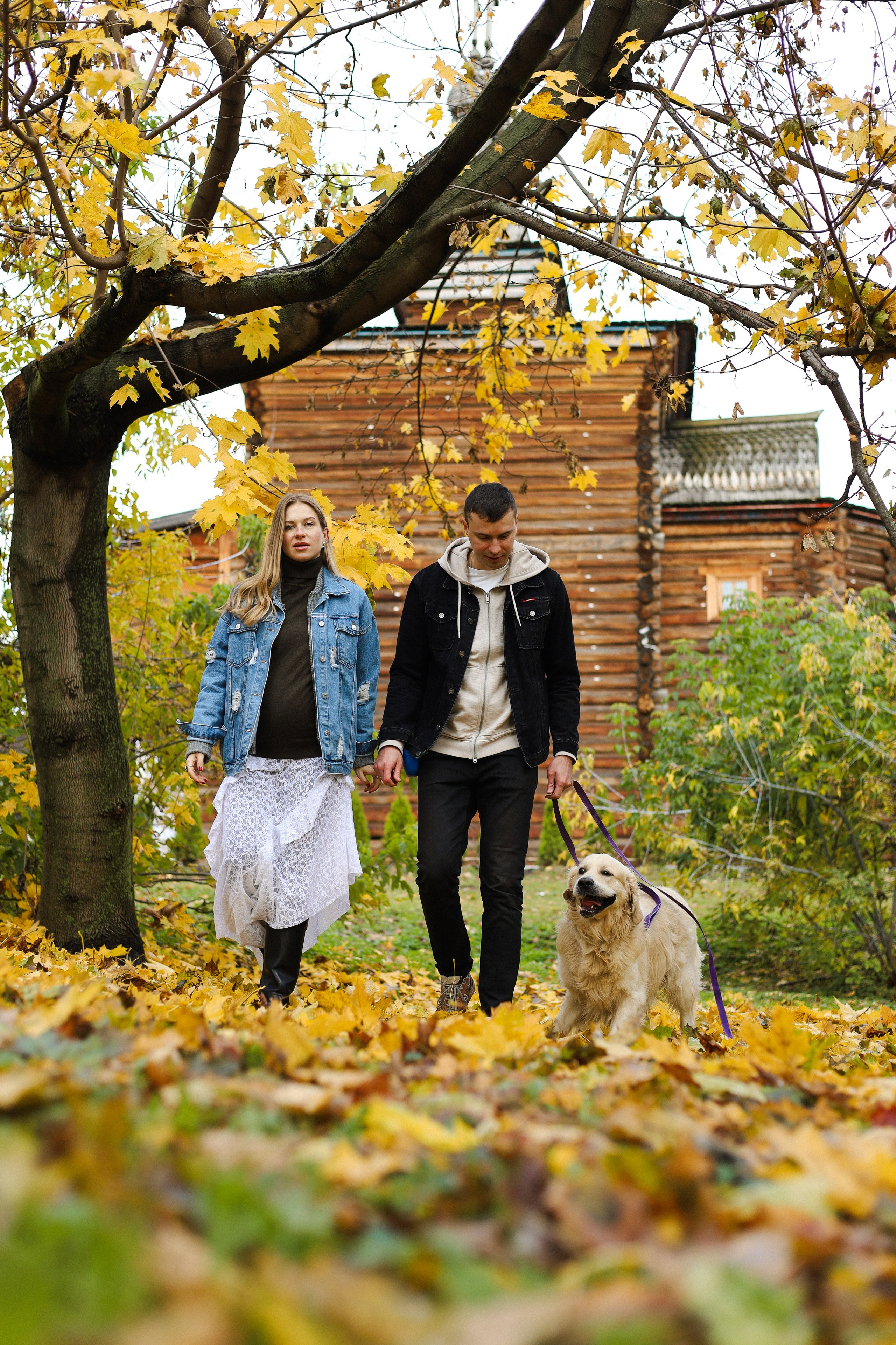 Фрэнк, Даша и Максим. Фотограф-анималист Ксения Шевцова|Москва