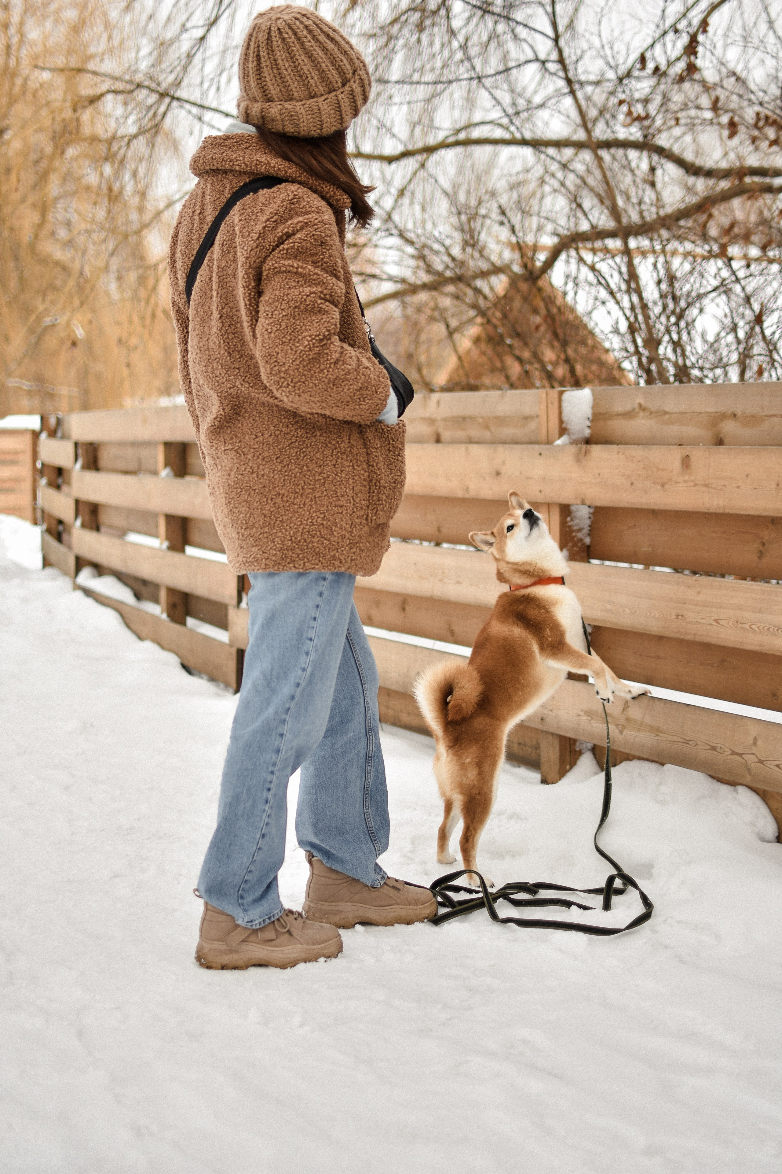 Ханна и Даша. Фотограф-анималист Ксения Шевцова|Москва