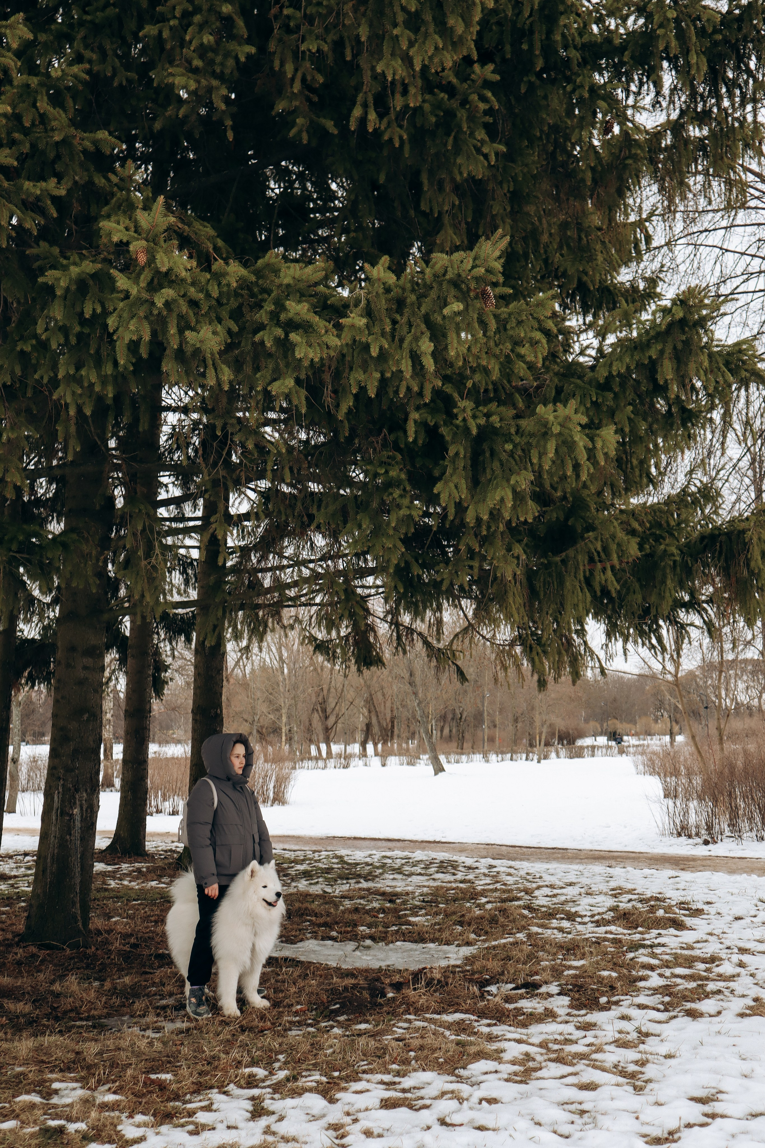 Даша и Локи. Фотограф-анималист в Санкт-Петербурге