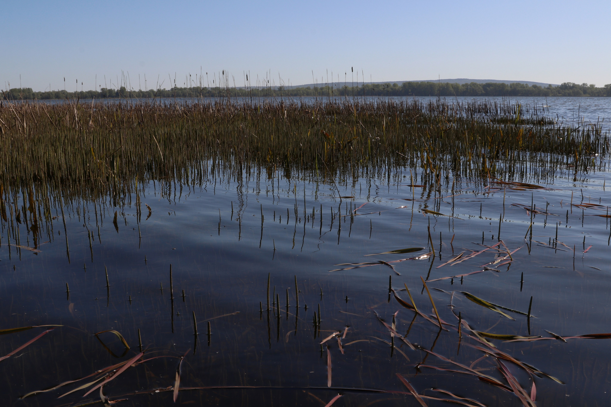 Велопоход Уфа — Мелеуз. Май 2024. Путешественник-фотограф из Санкт-Петербурга Татьяна Свистулина