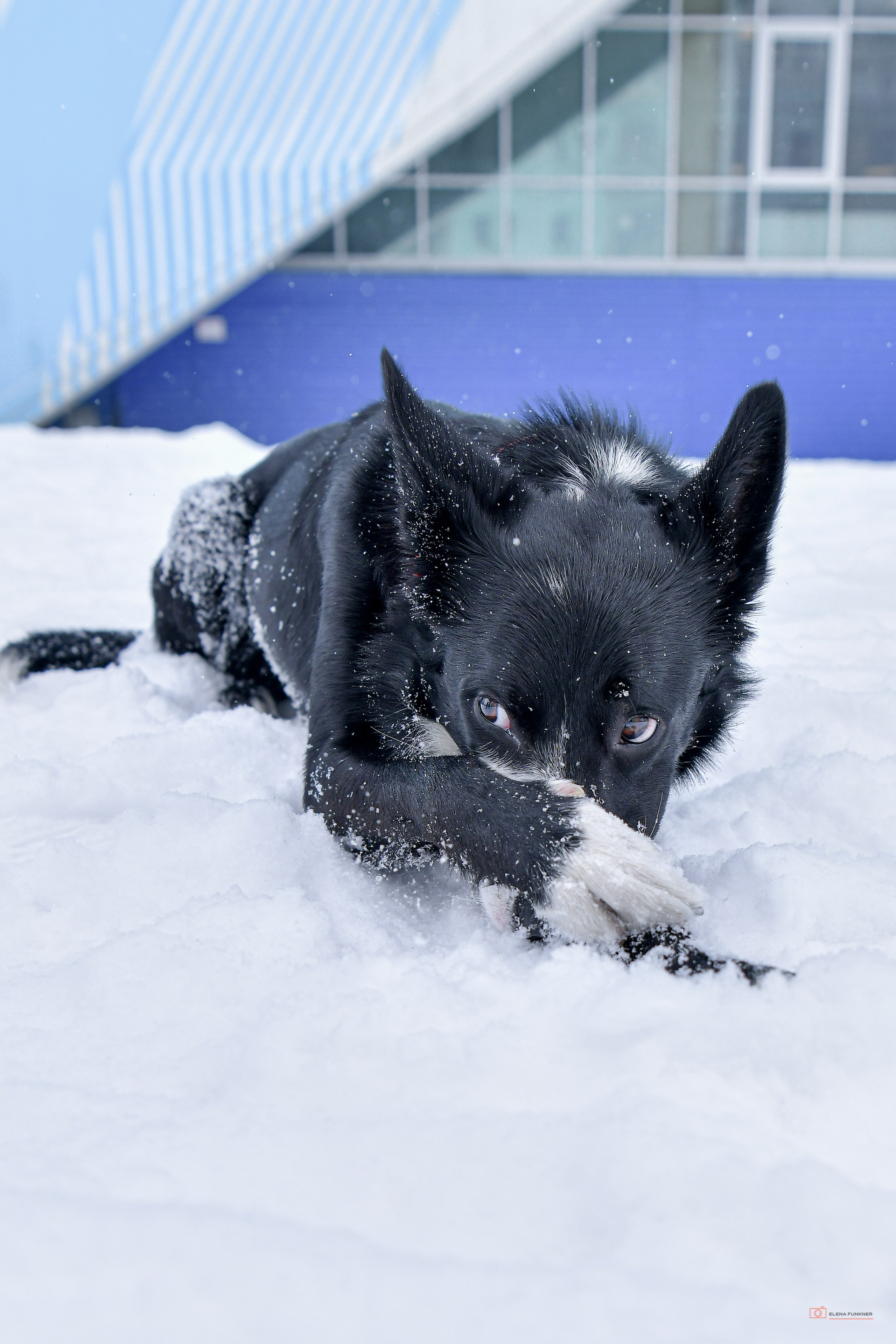 Зима. Свой взгляд через объектив