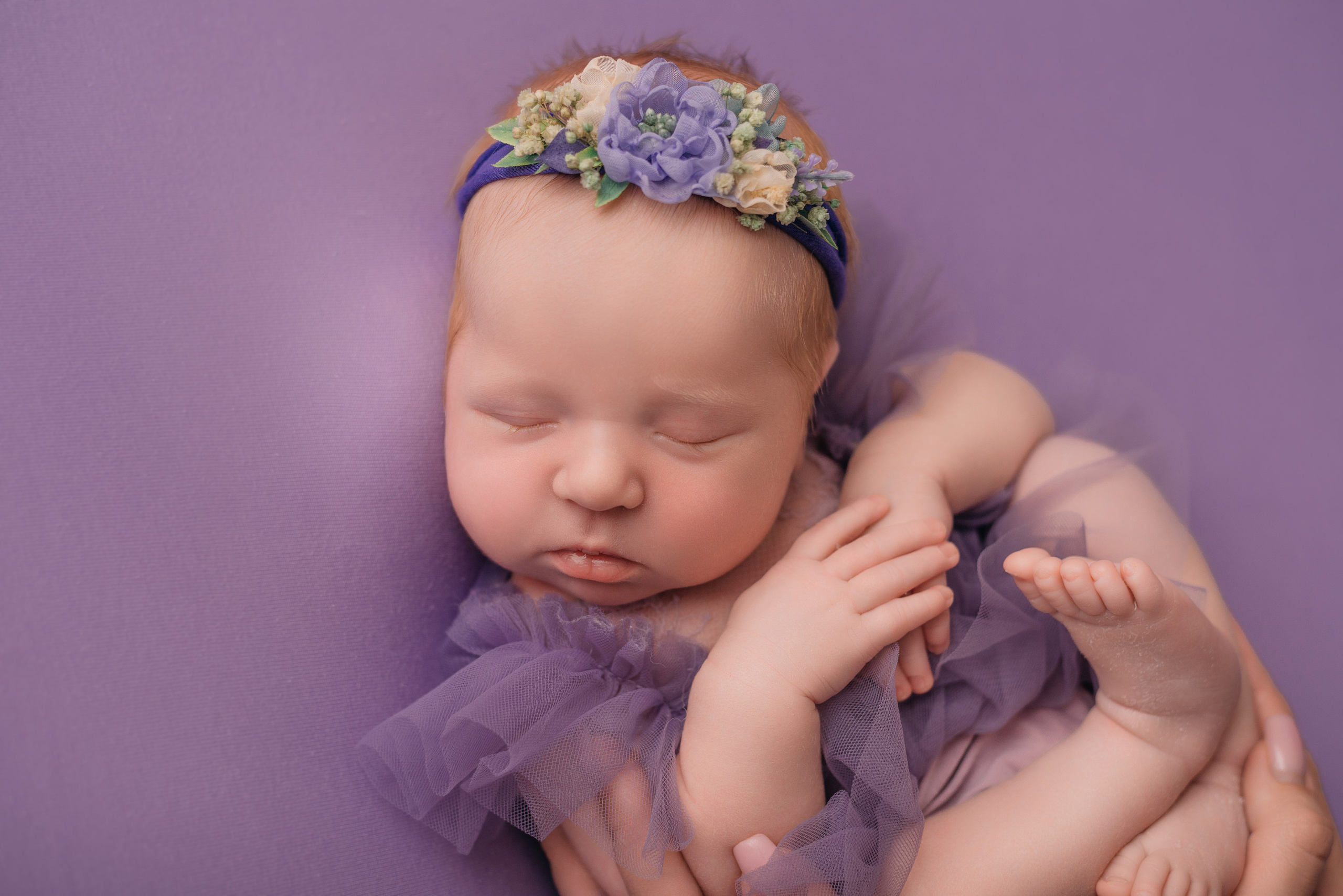 Варя. Фотограф новорожденных Белгород