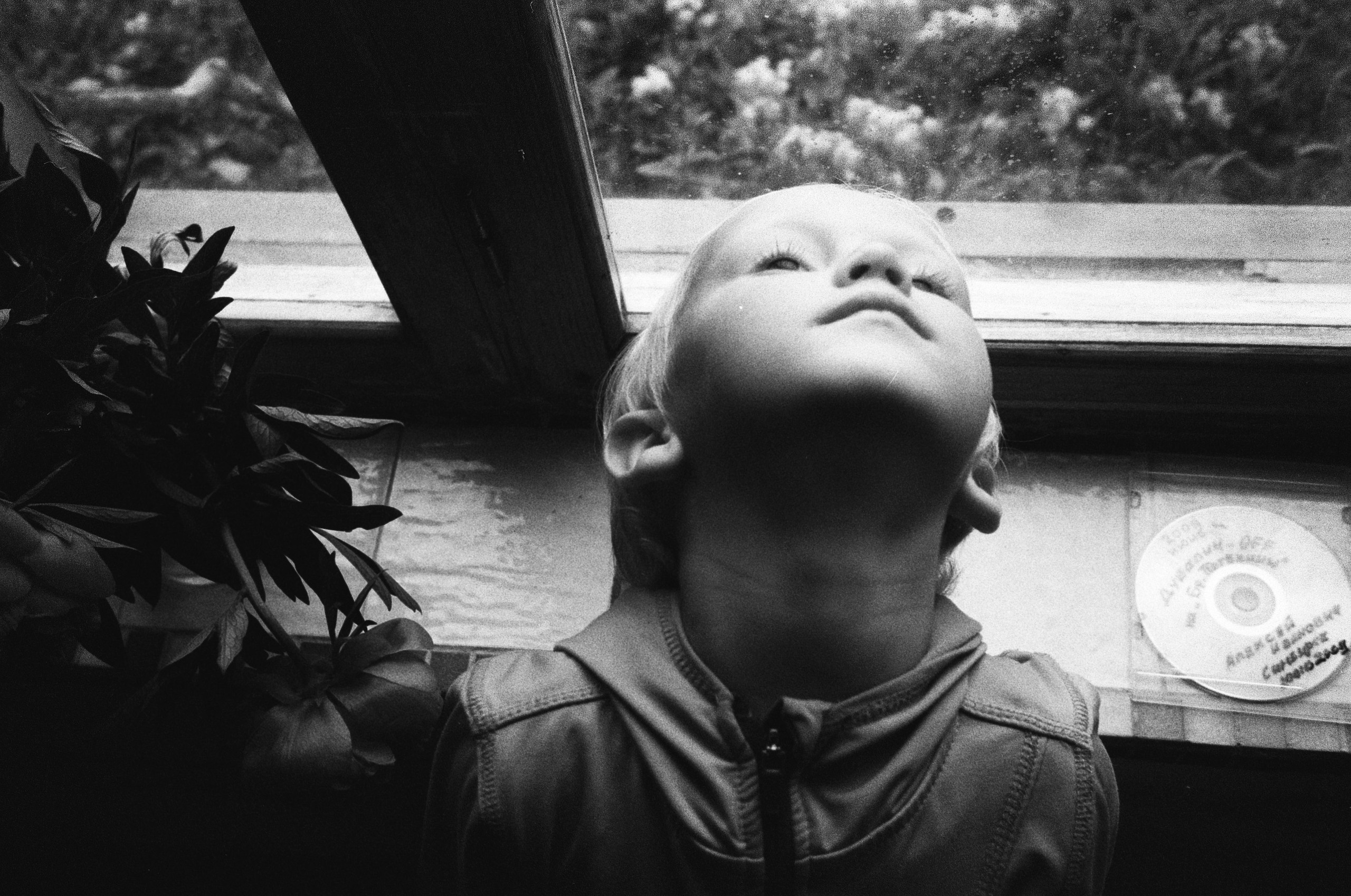 Надя Шумина