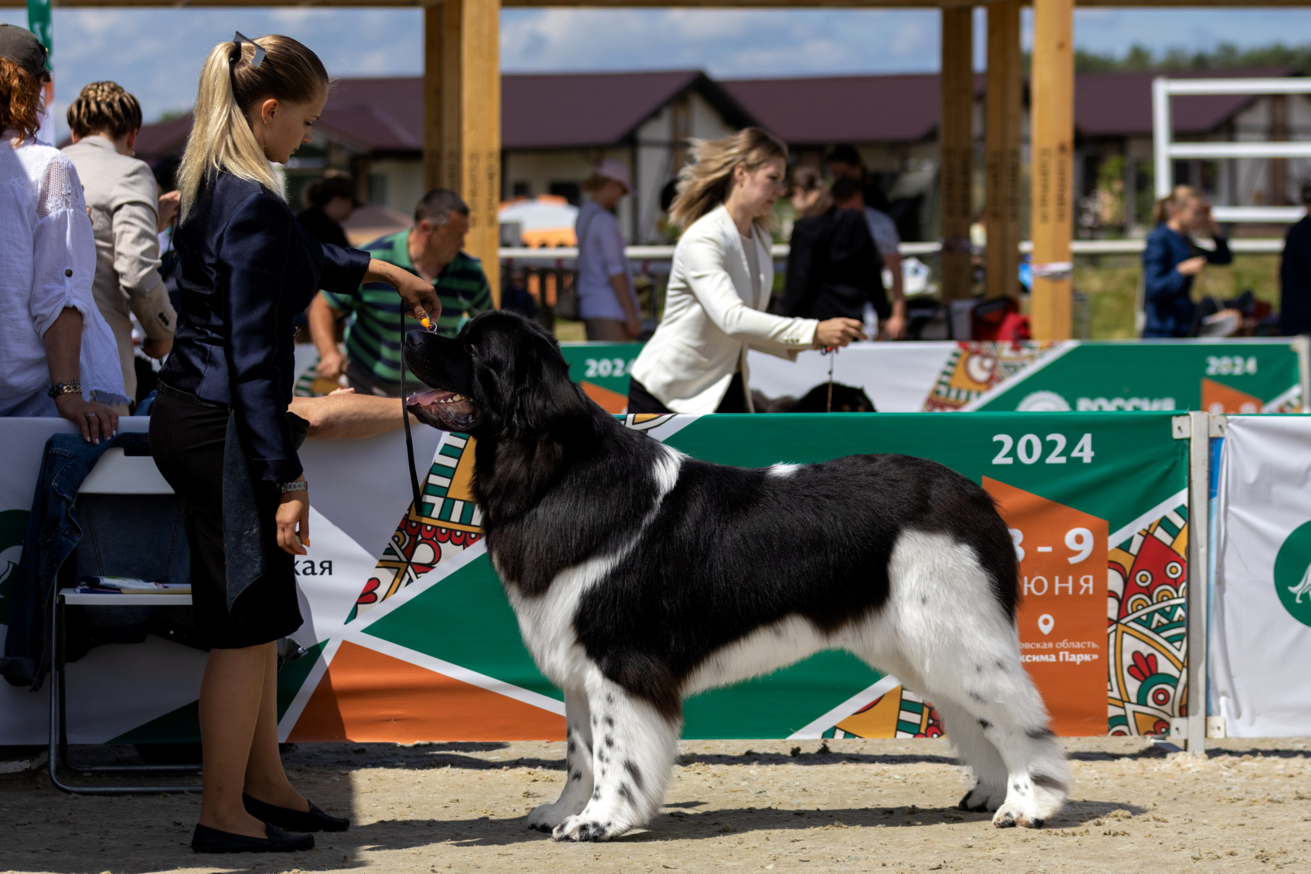 Выставки. Фотограф — анималист в Москве и области Ольга Петракова