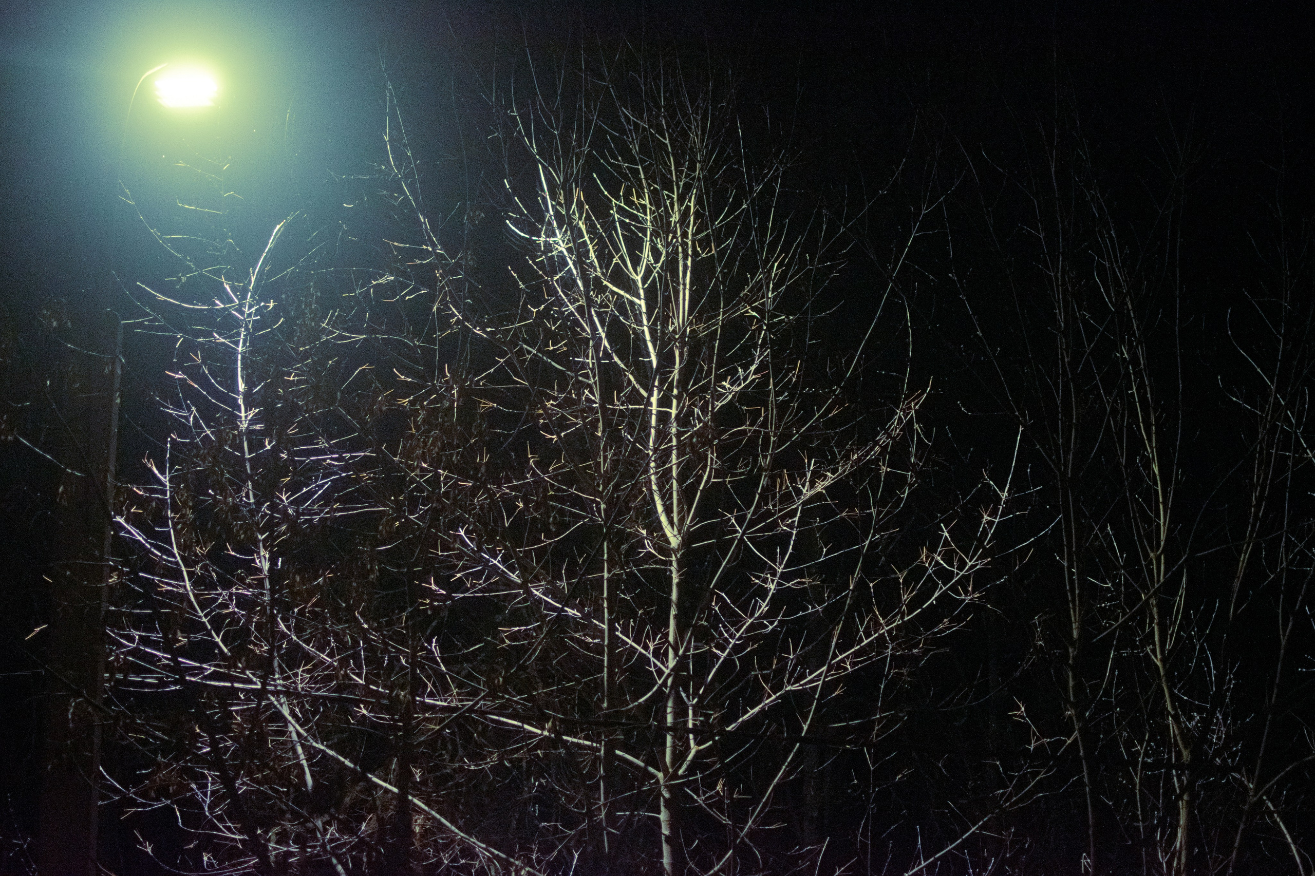 Расширение воздушных пространств. Анна Полонеева фотография фотохудожник визуальная художница портреты