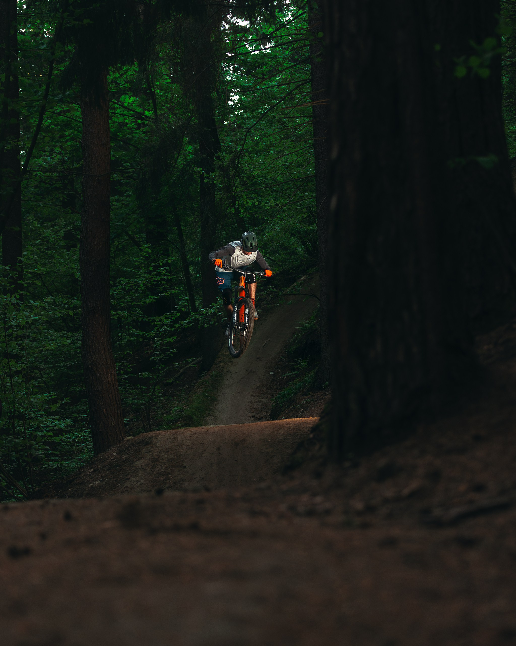 Покатушки в Огороде. Фотограф анималист Никита Натальный