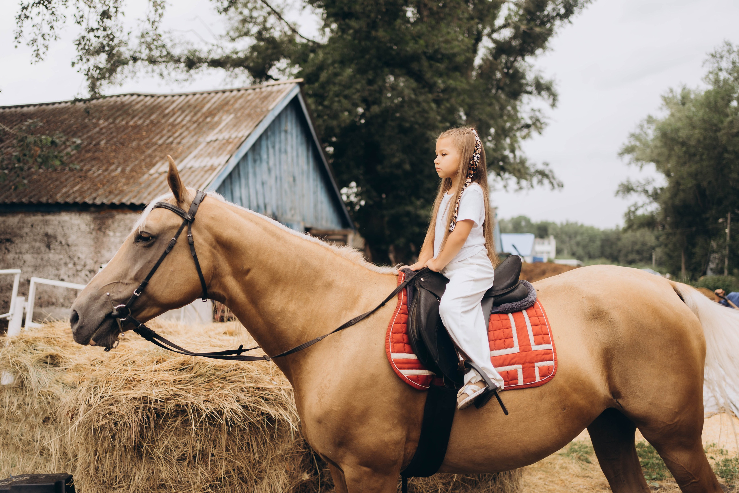 Семейные прогулки ульяновск. Семейный и детский фотограф новорожденных Ульяновск