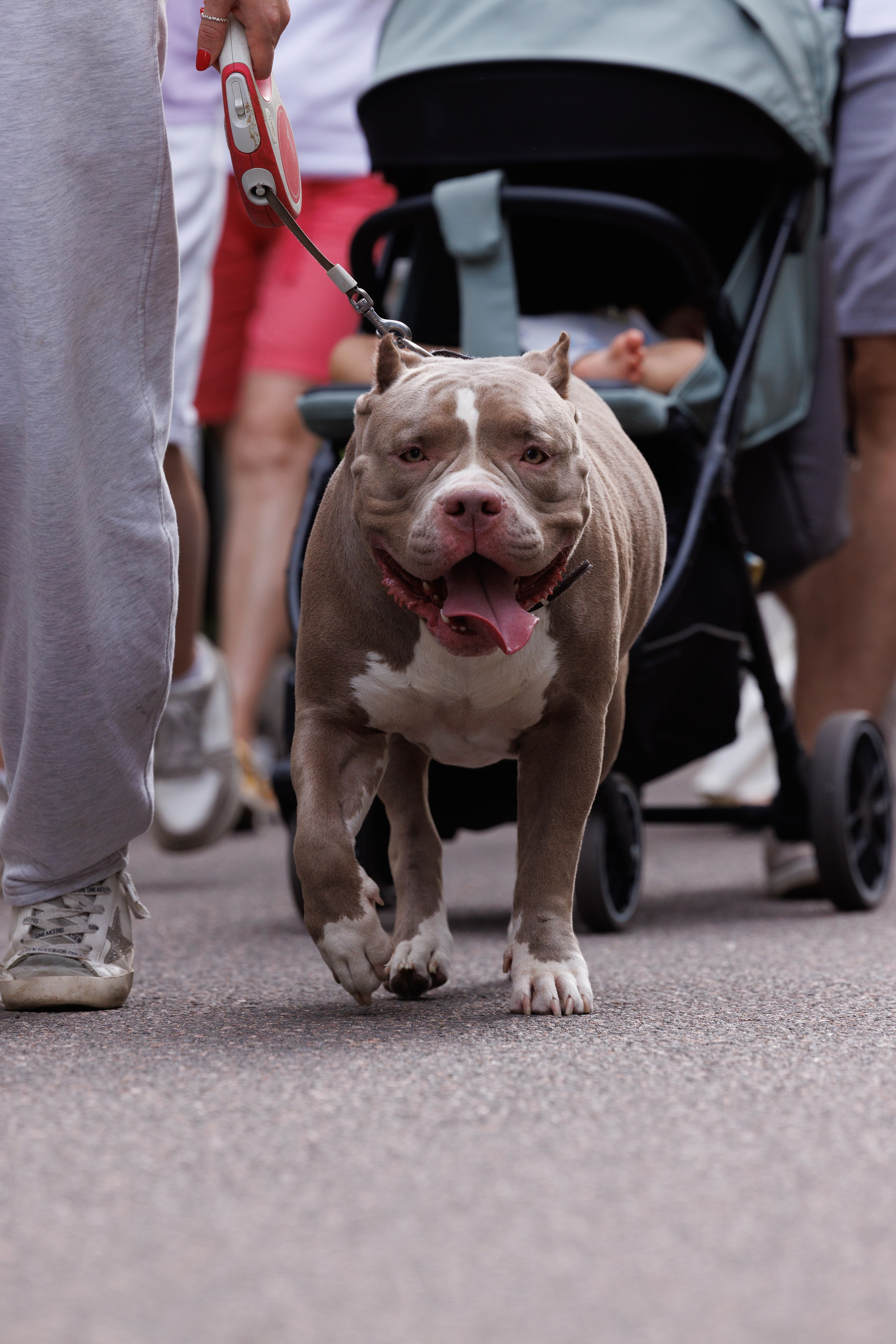 PetShopDays2026. Фотограф Александр Заломаев