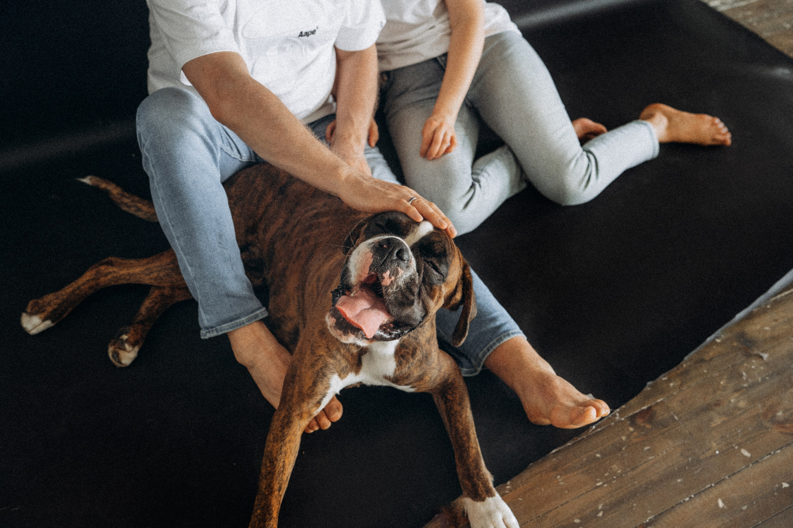 Анна, Максим и Марсель. Фотограф анималист в Москве и Санкт-Петербурге Свиридова Анна