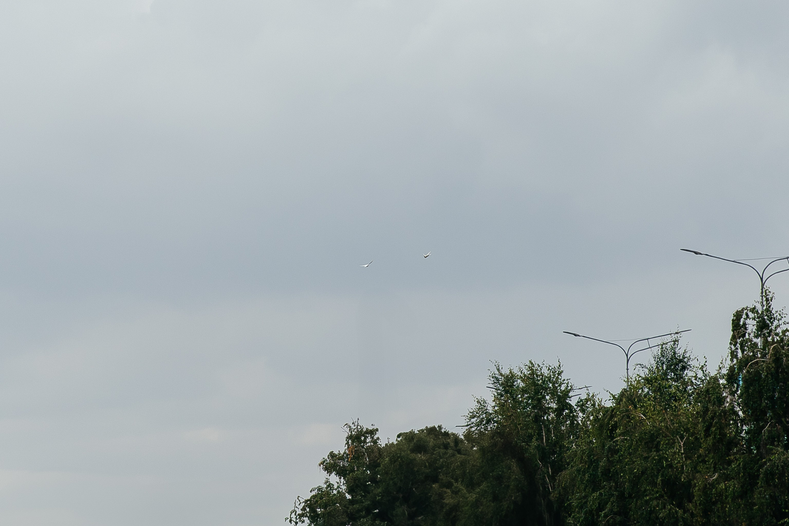 Сетрак и Марианна. Фотограф в Красноярске Надежда Воскресенская