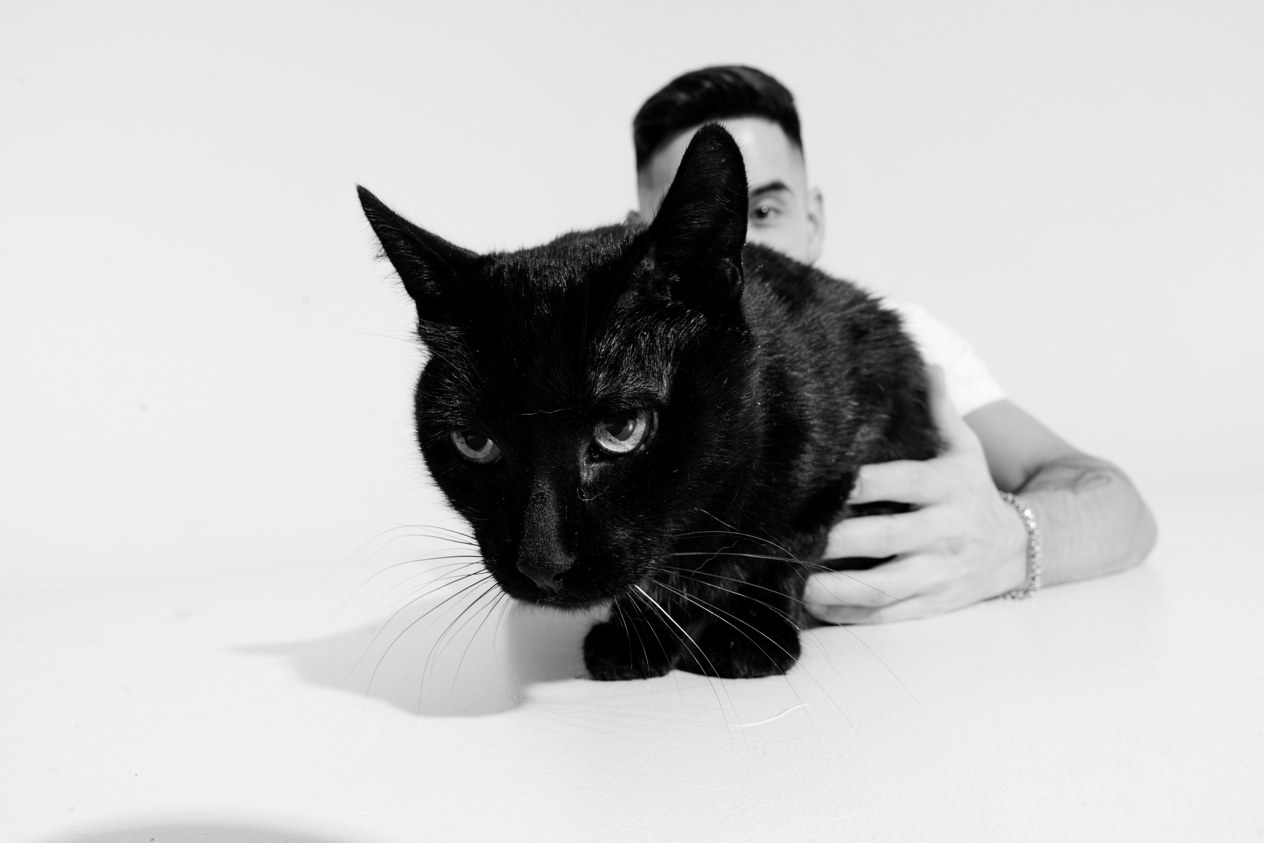 Уголек и Давид. Свадебный фотограф Уфа, Руслан Бикташев