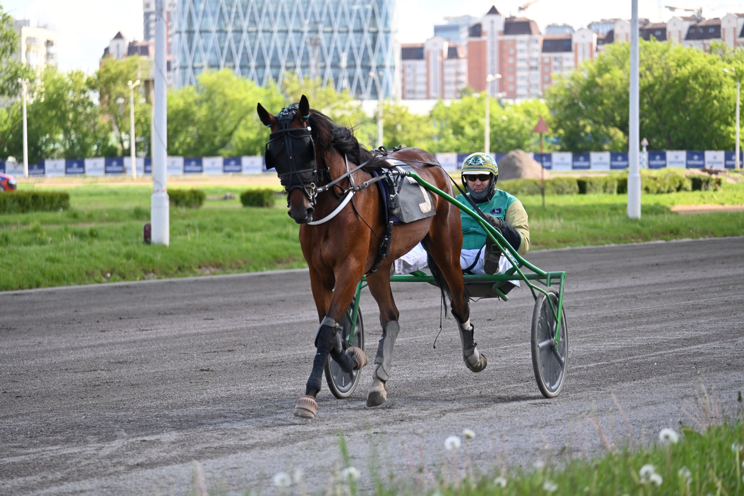 Ипподром (Москва). Fotolux