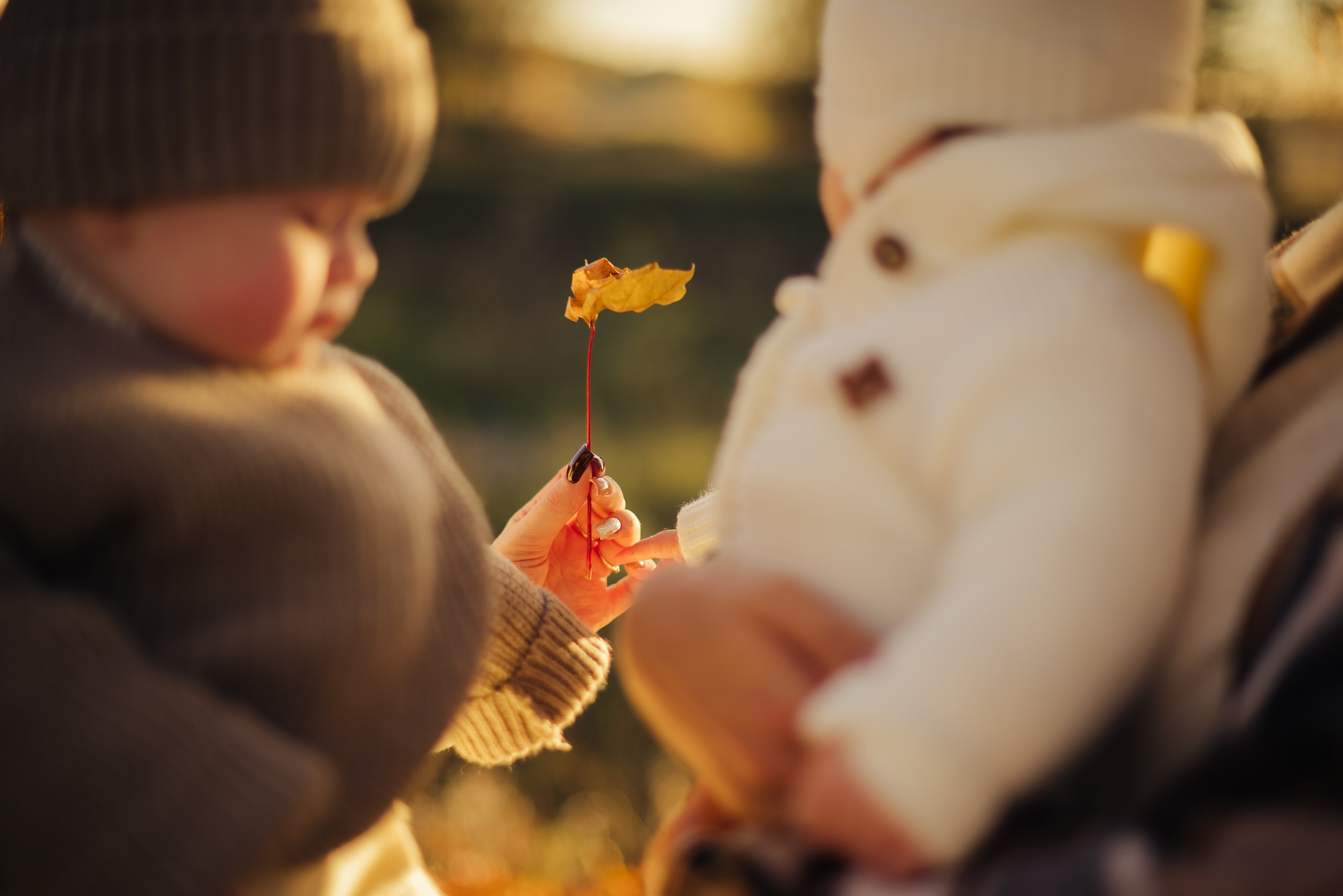 Мамочки осенью. Семейный и детский фотограф в Щелково Алена Дробот