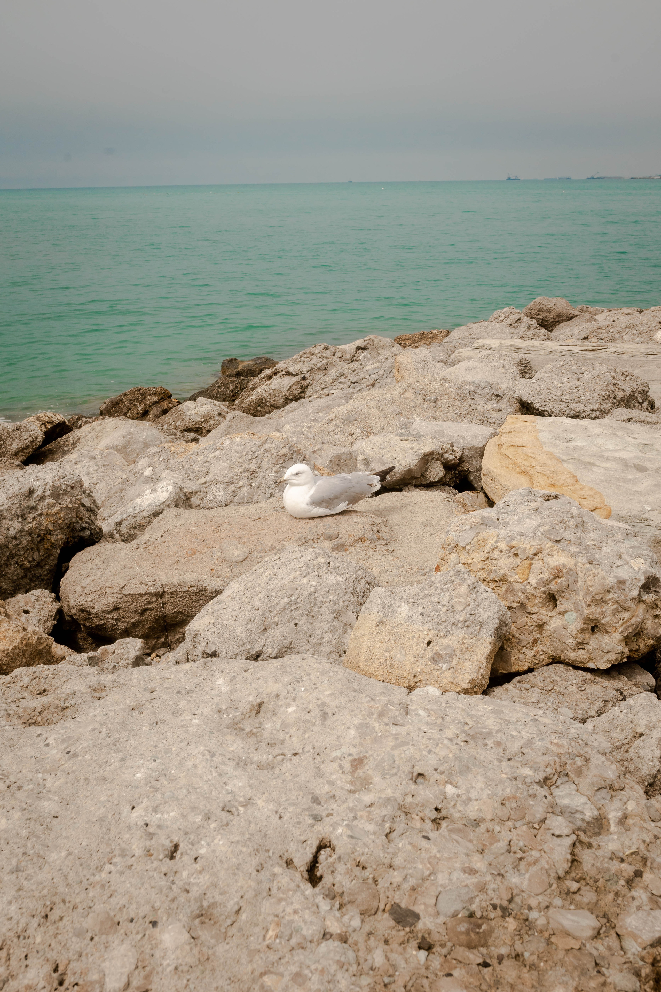 Ирина. Фотограф в Геленджике, Архипо-Осиповке, Абрау-Дюрсо, Кринице Виктория
