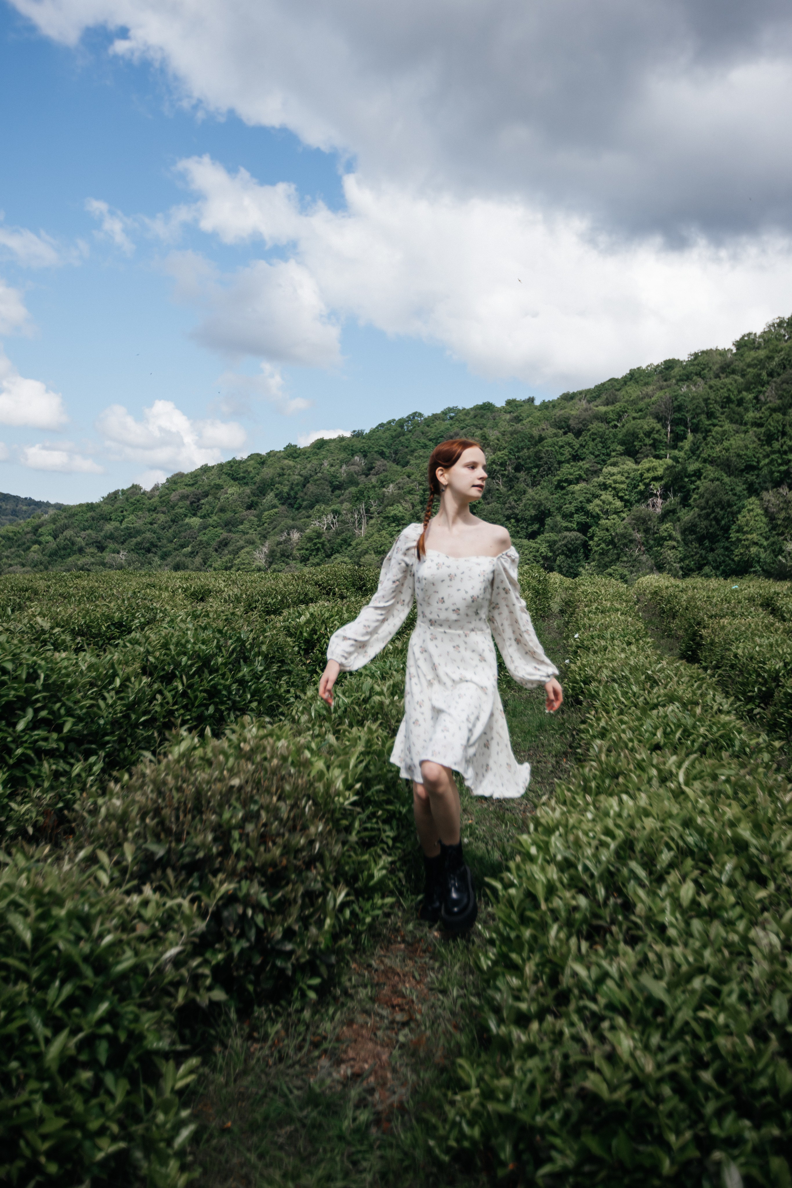 Tea plantation. Efimova Model Agency