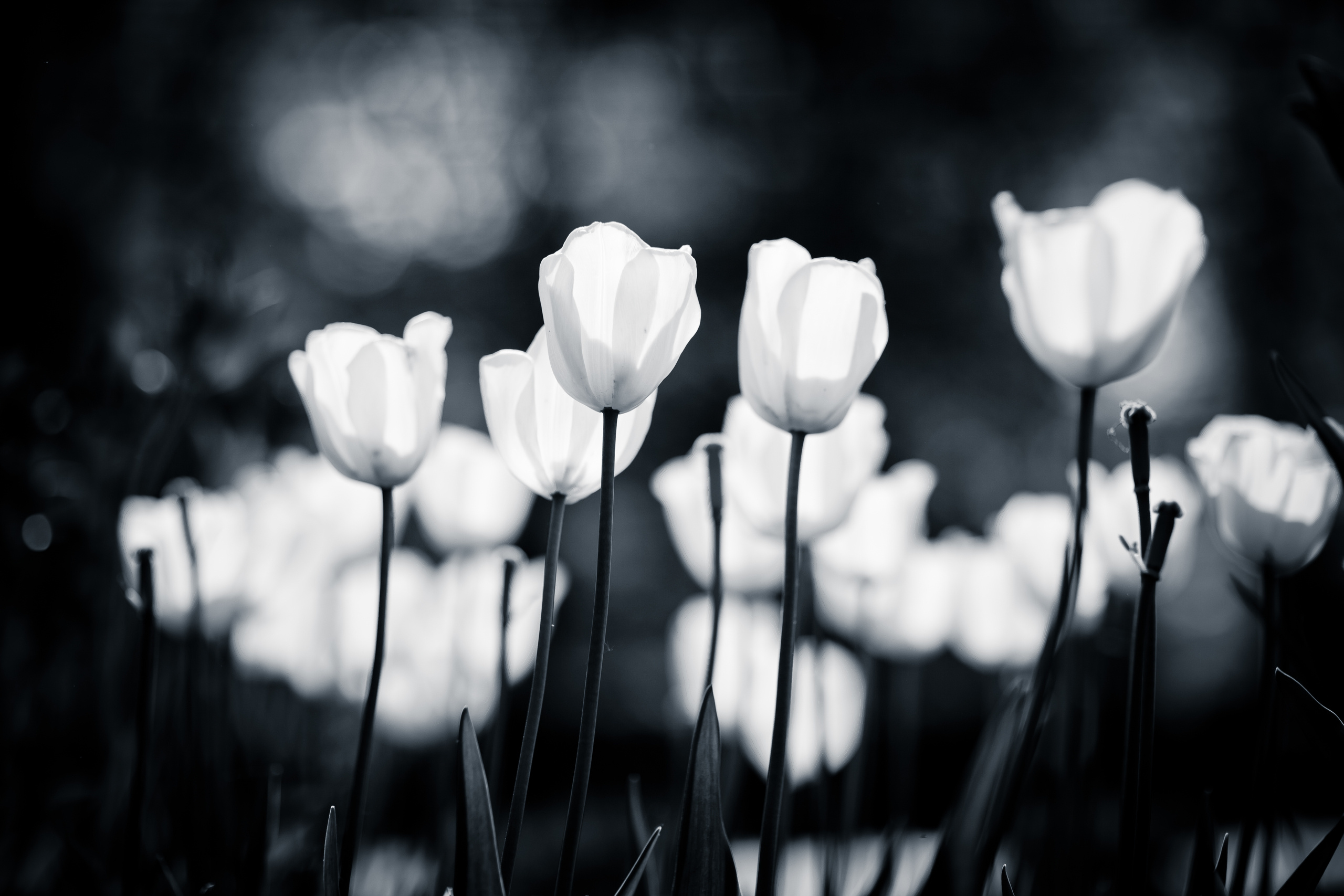 Путешествия и пейзажи. Фотограф Алена Звездина