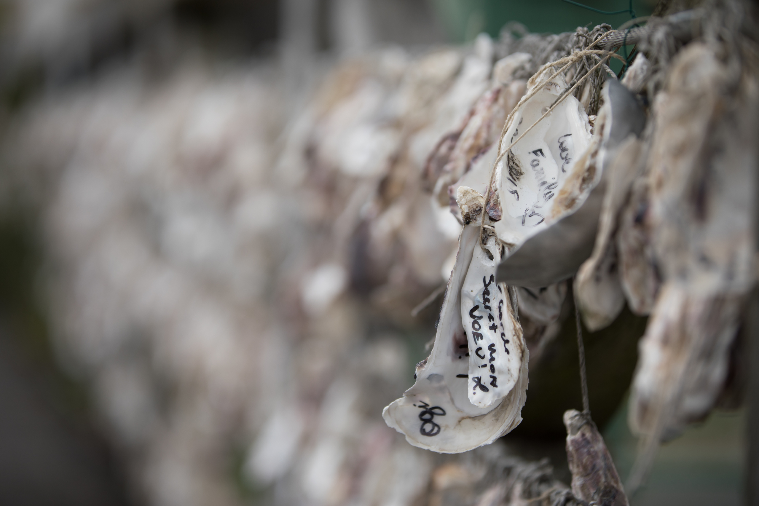 Путешествия и пейзажи. Фотограф Алена Звездина