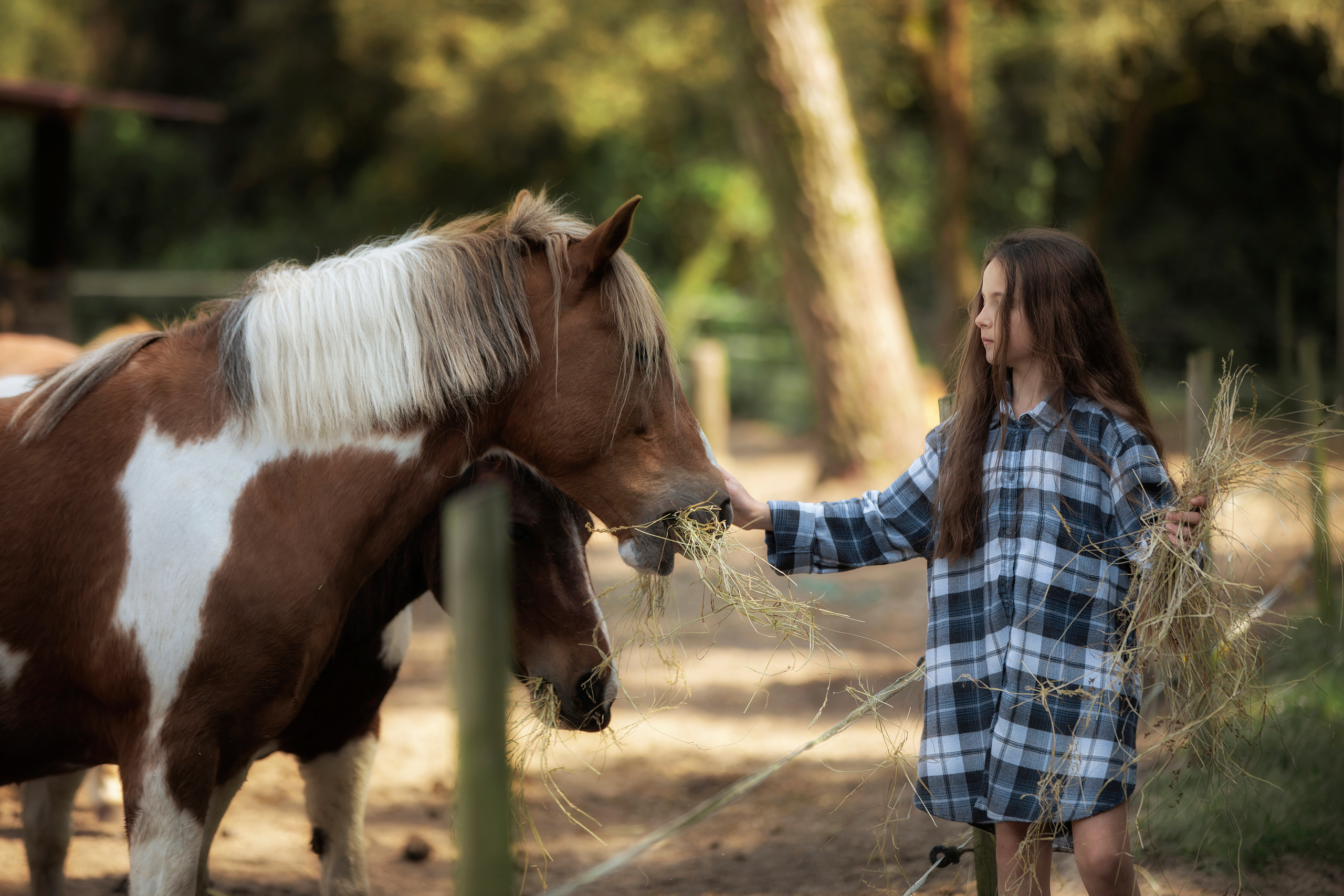 Дети. Фотограф Алена Звездина