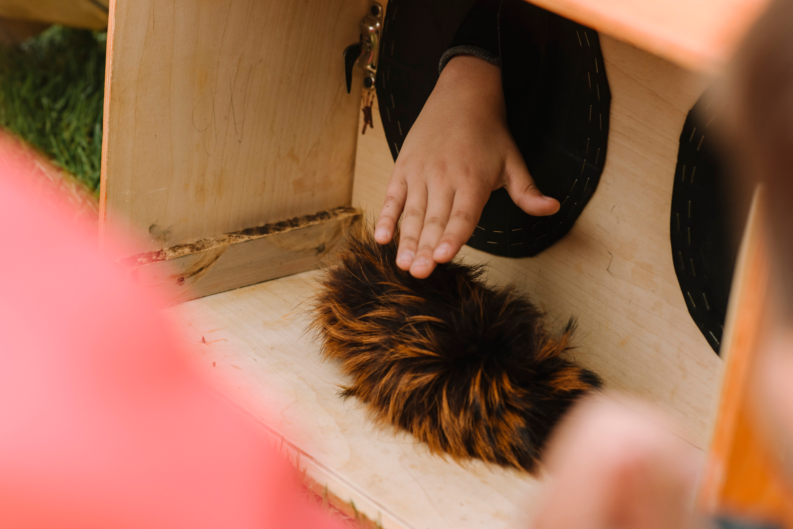 Алиса день рождения. Свадебный фотограф Москва Истра Звенигород Нахабино