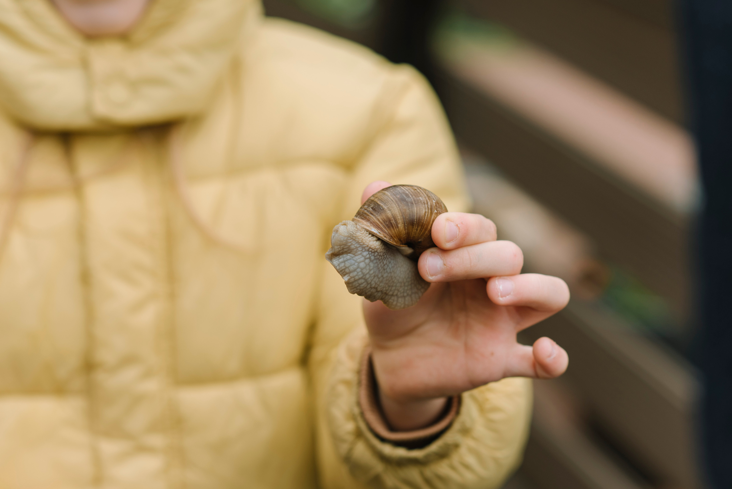 Алиса день рождения. Свадебный фотограф Москва Истра Звенигород Нахабино