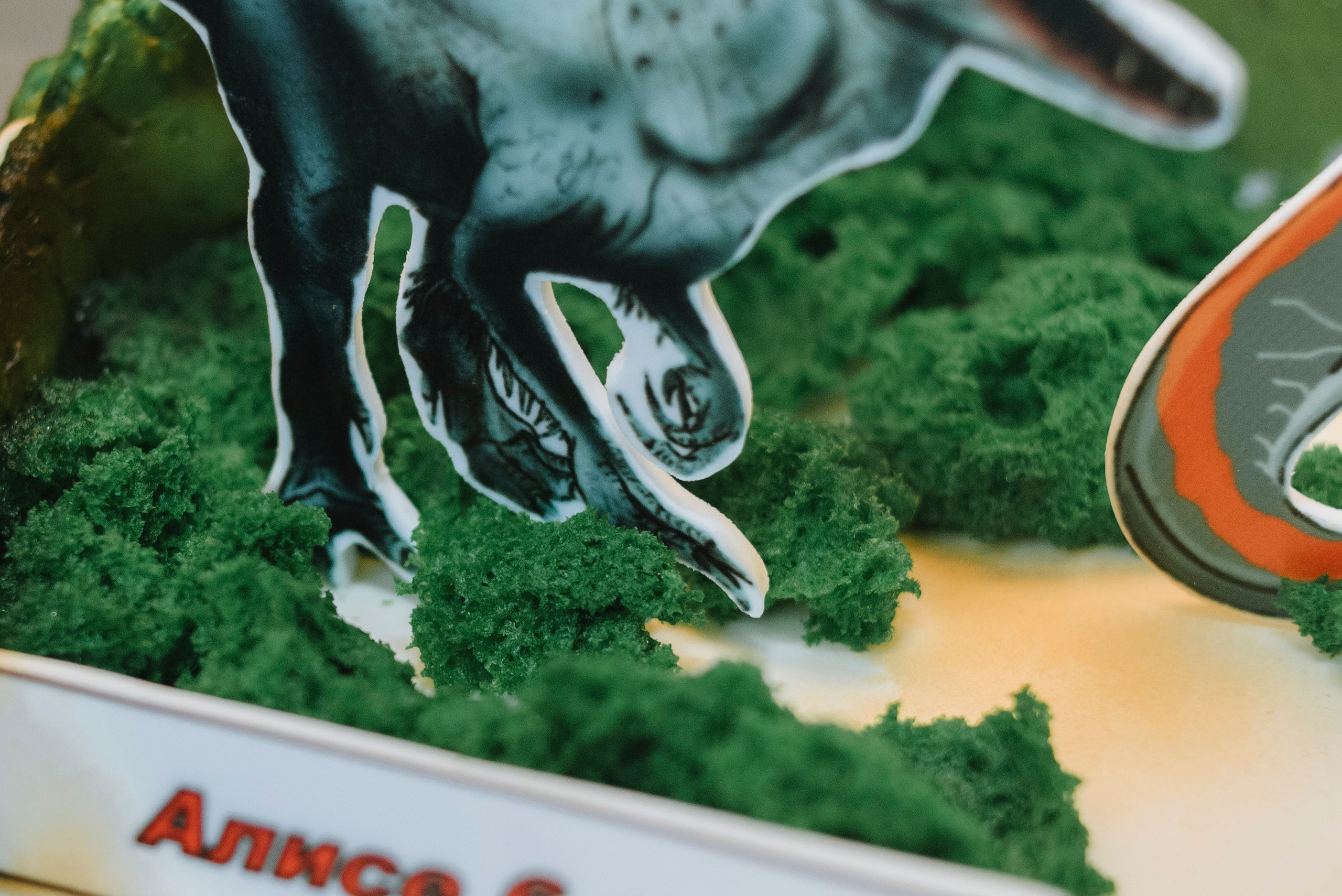 Алиса день рождения. Свадебный фотограф Москва Истра Звенигород Нахабино