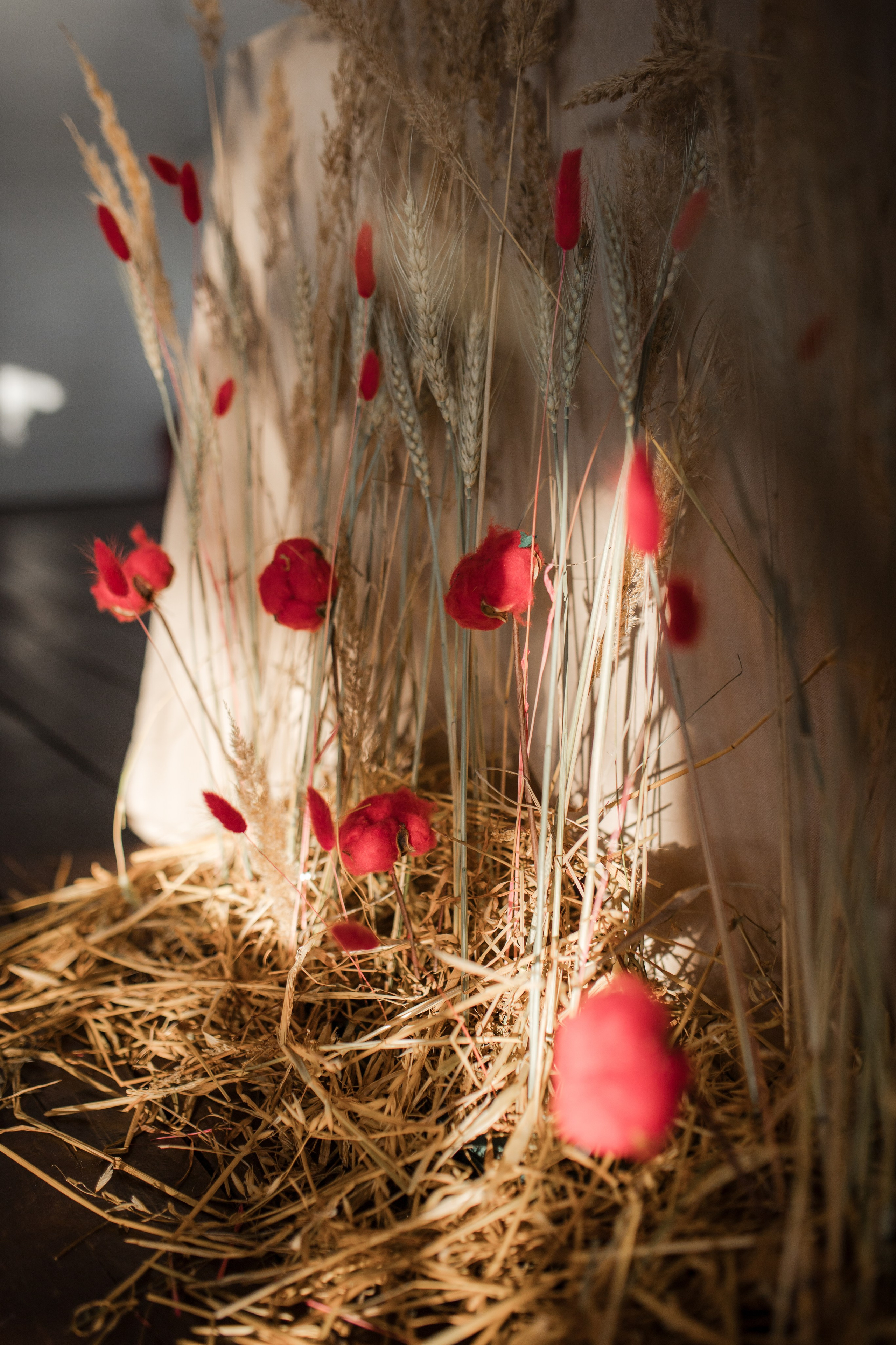 September do you remember. Фотограф в Москве Вероника Иньякова