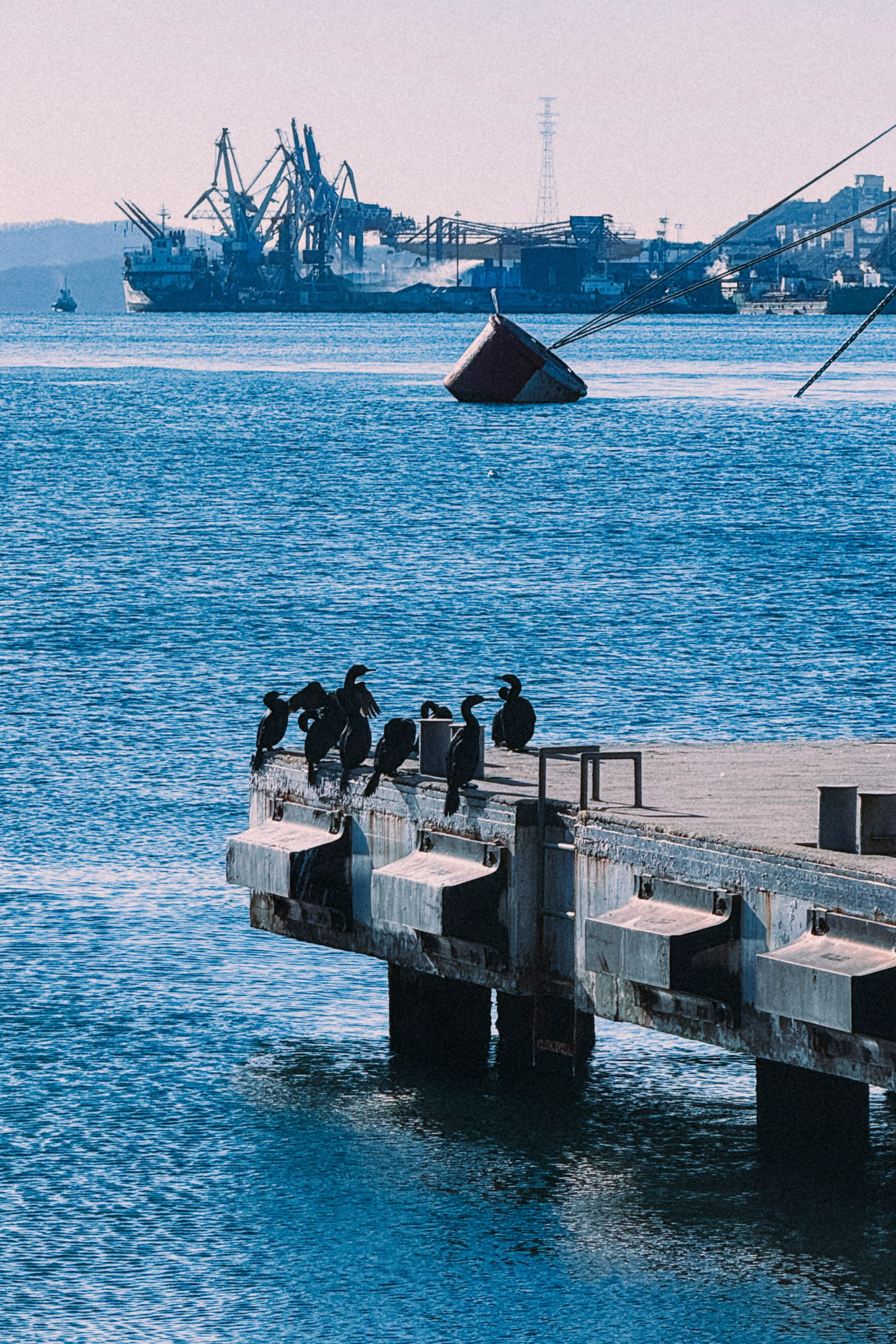 Владивосток. Команда фотографов Кристины Ивановой