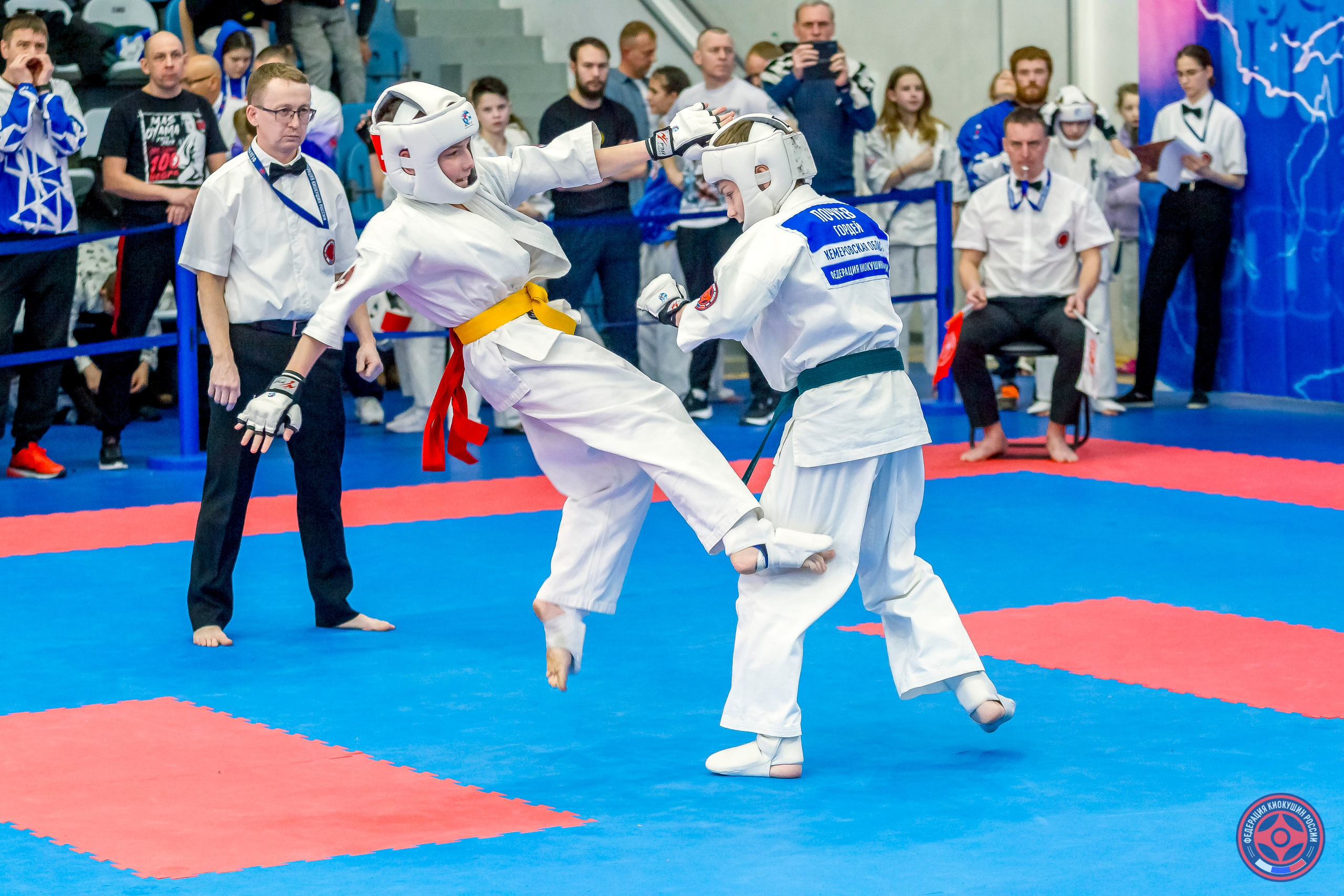 Международный турнир по киокушин «Открытый кубок Seiken». Репортажная съемка в Москве и области. Анималистика