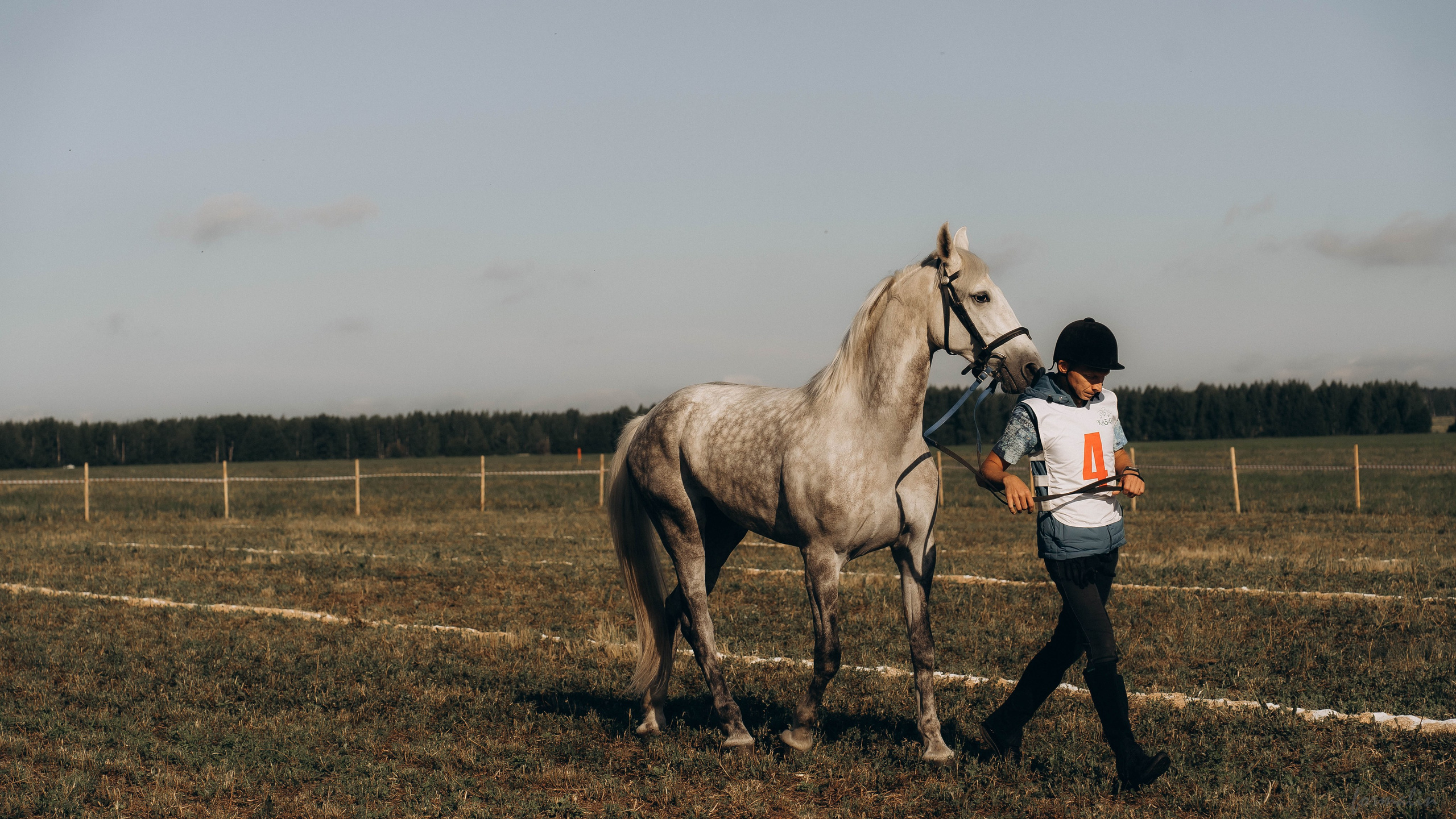 День Коня. Алиса Никитцова | Фотограф в Казани