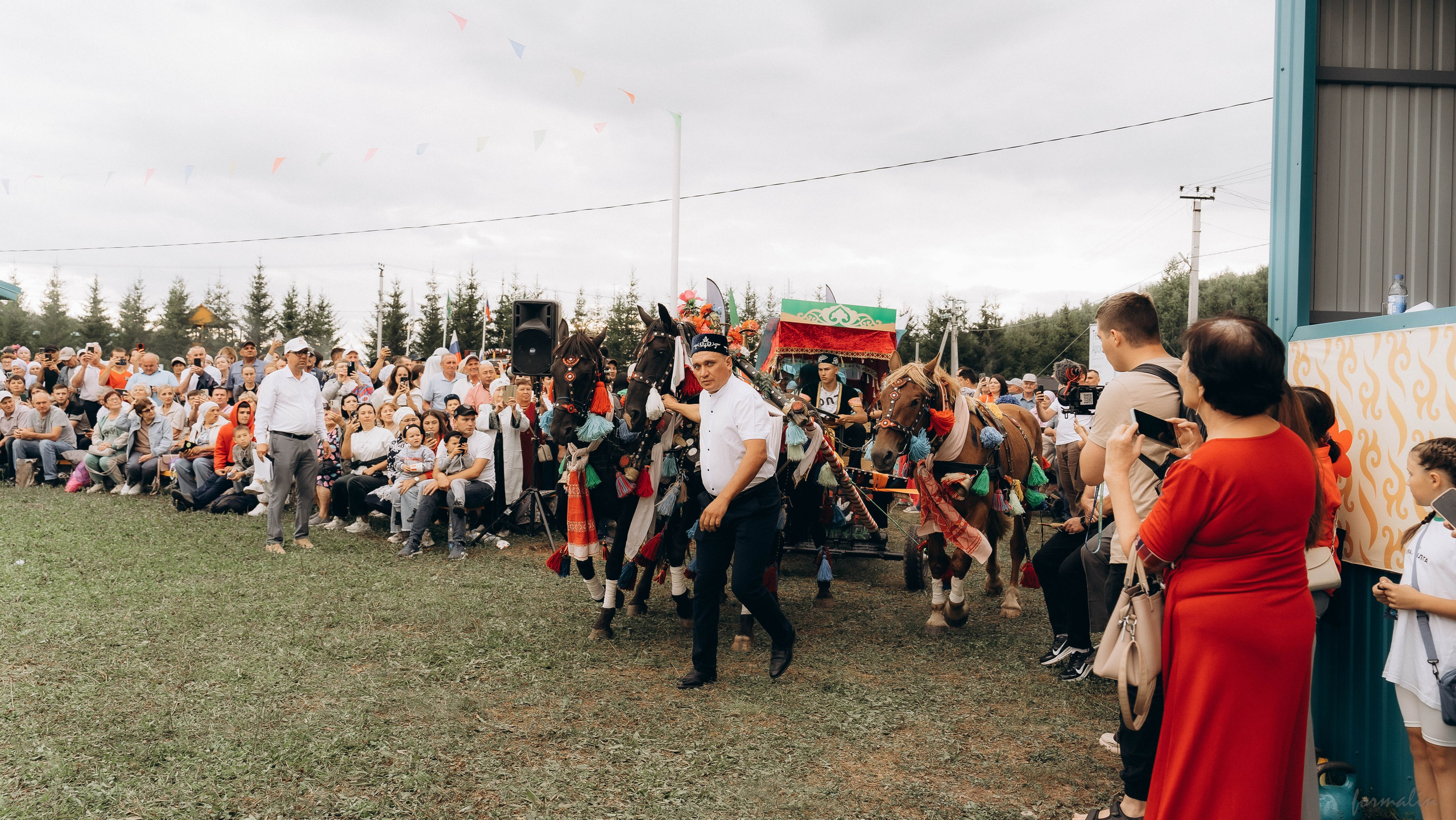 День Коня. Алиса Никитцова | Фотограф в Казани