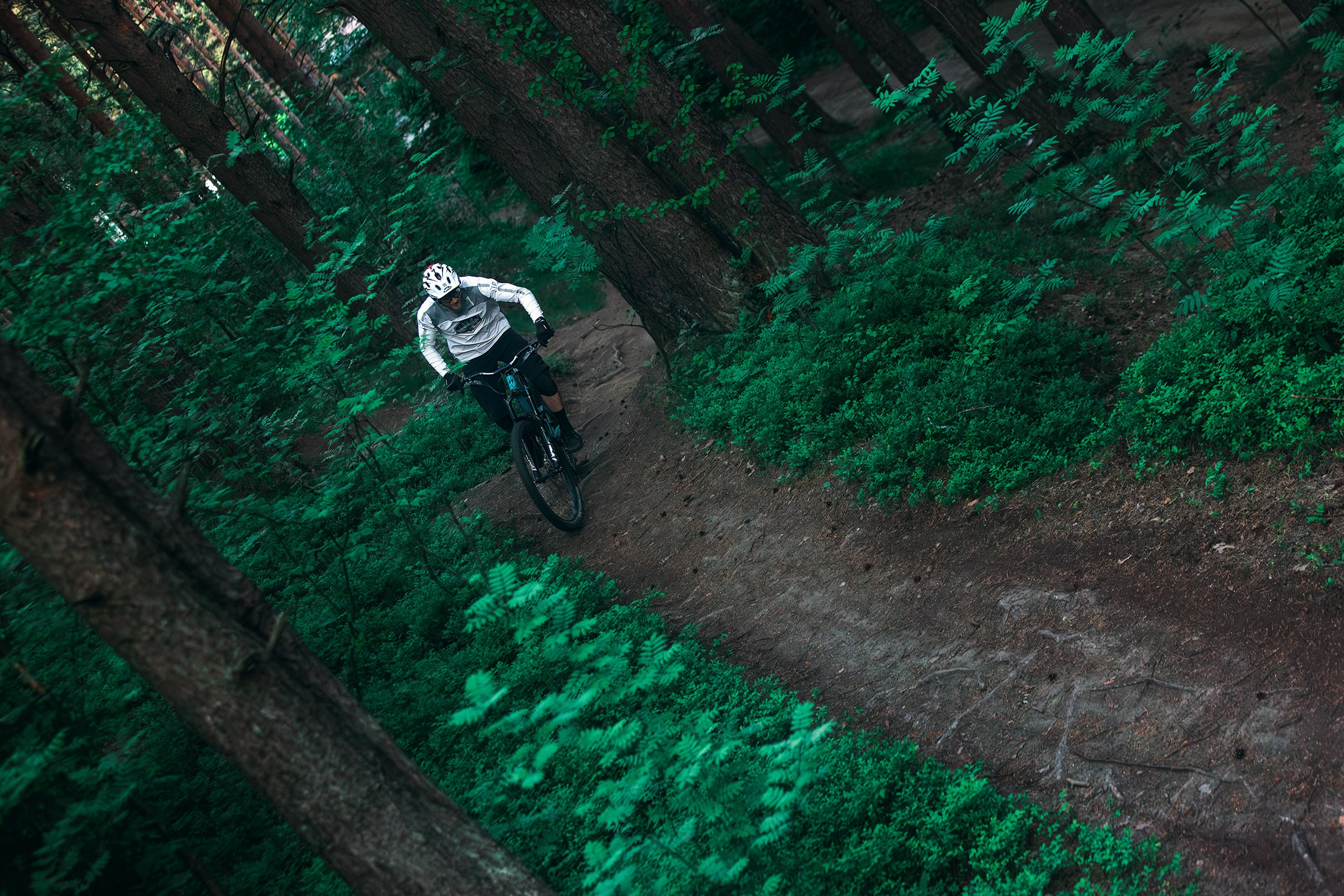 Саша и Ваня. Фотограф анималист Никита Натальный