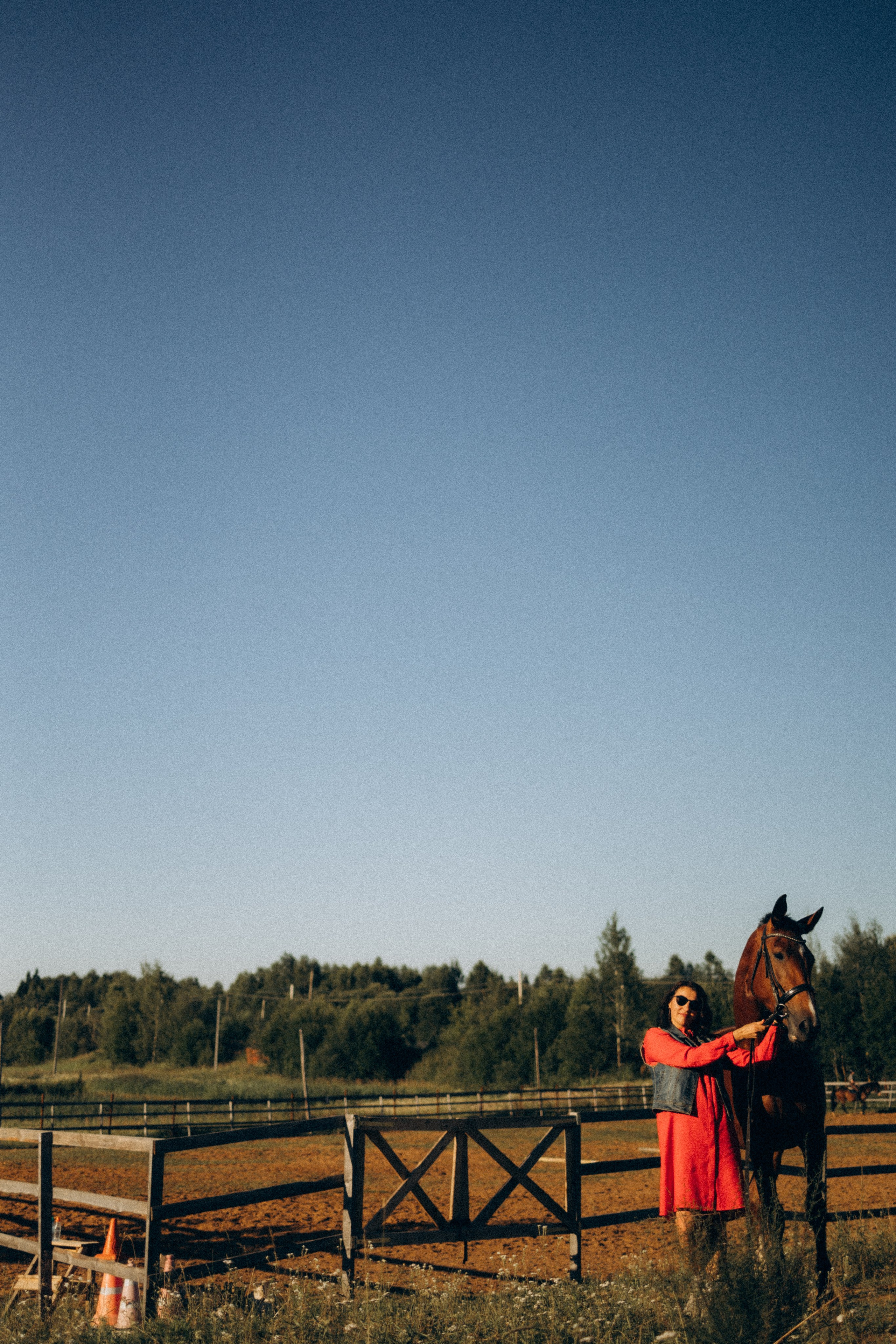 А в деревни лошади. Фотограф Москва Светлана Кирюшина