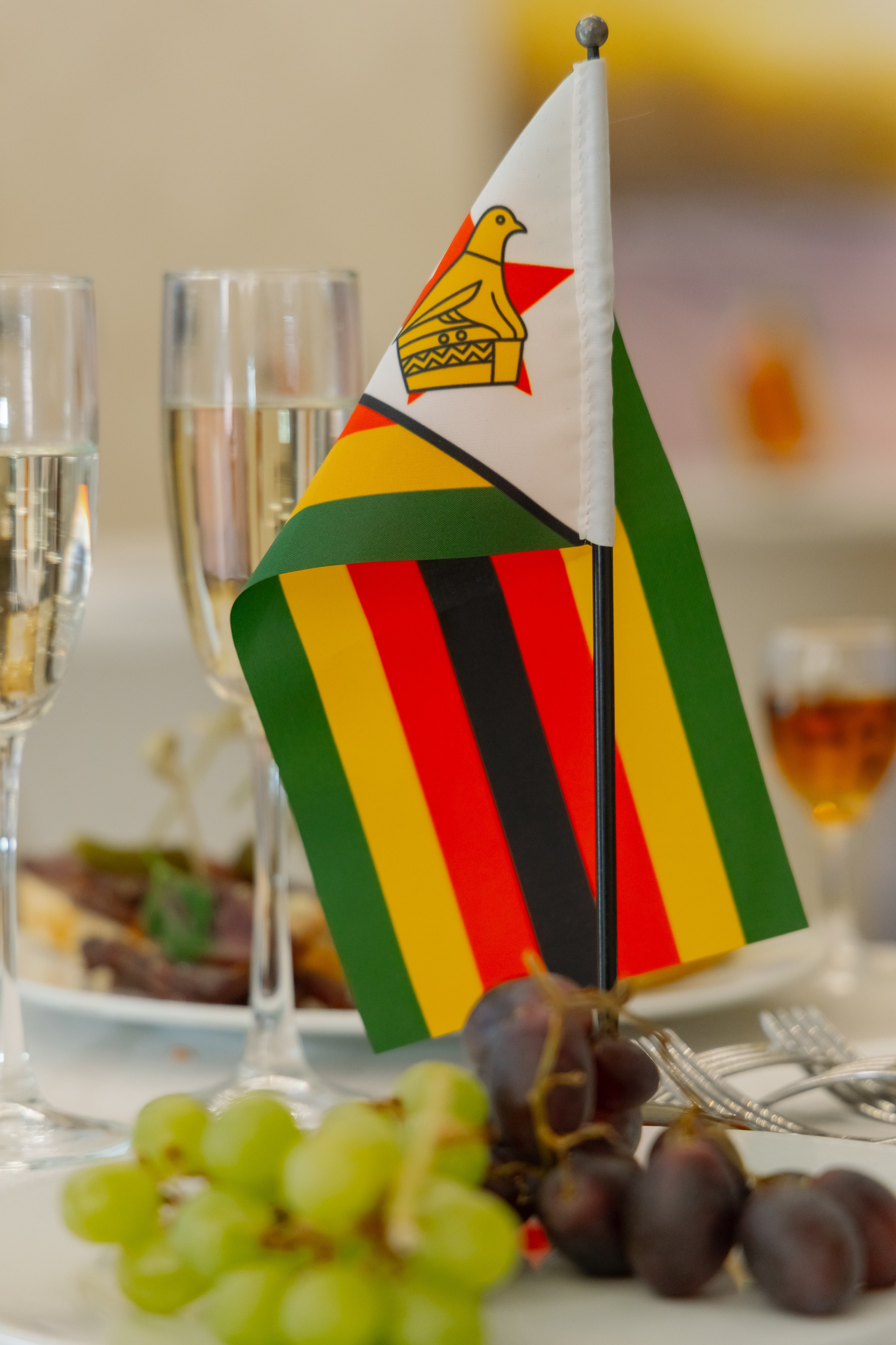 Фотосъемка делегации Посольства Зимбабве в Минске. Свадебный фотограф в Минске/Беларуси Сергей Спиридонов