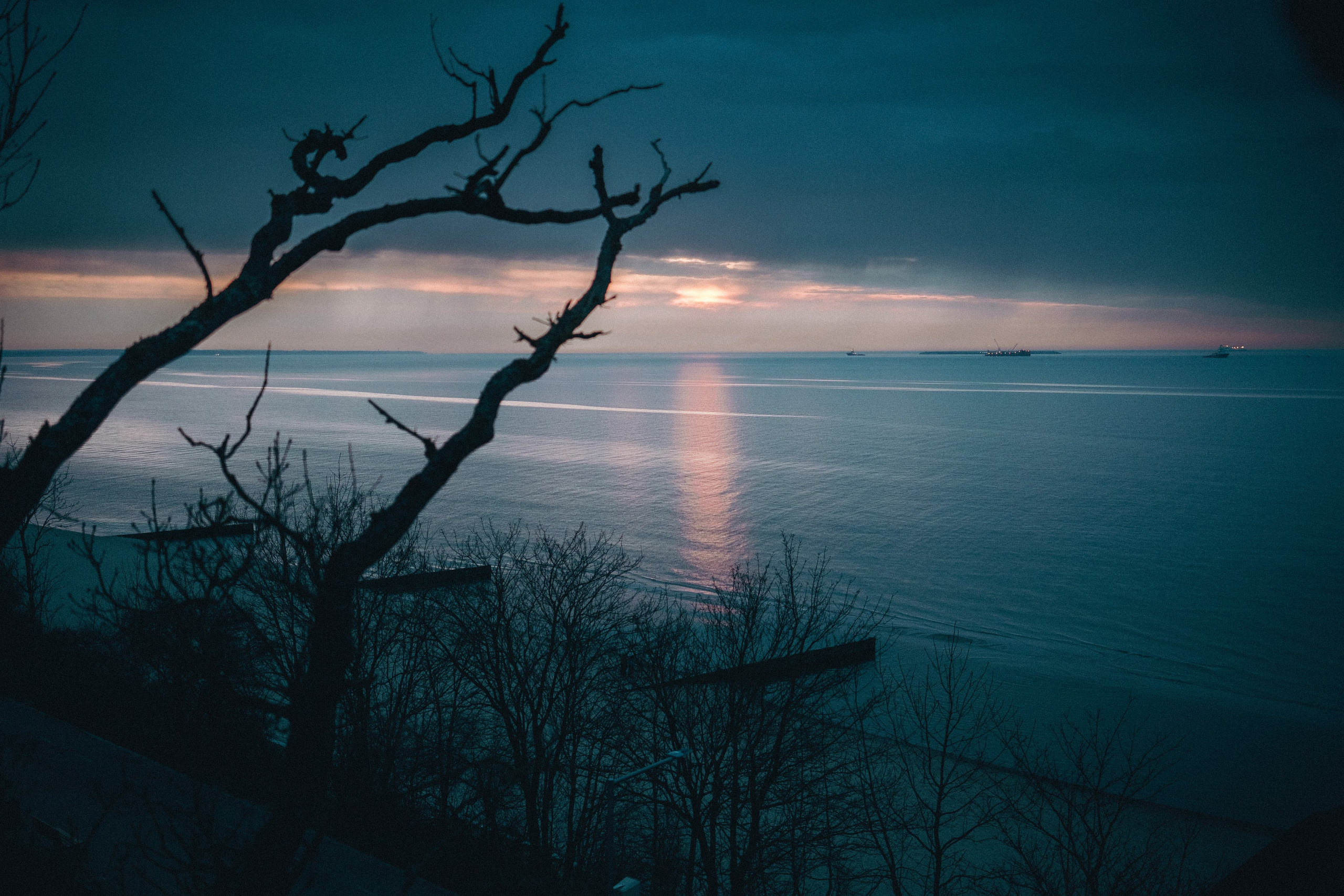 Other. Dmitry Ippolitov