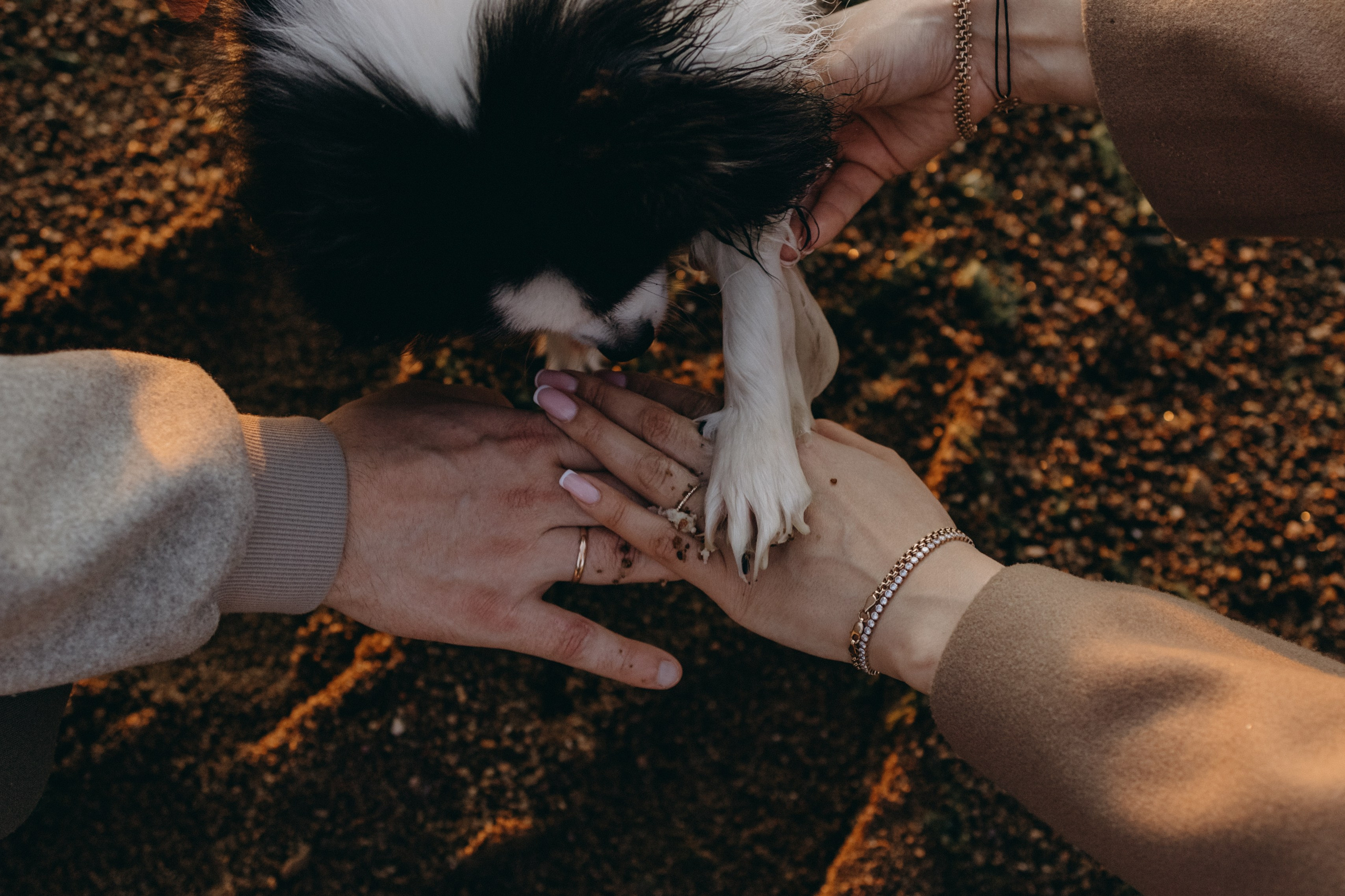 Диана и ее мальчики. Фотограф — Анималист | Санкт-Петербург